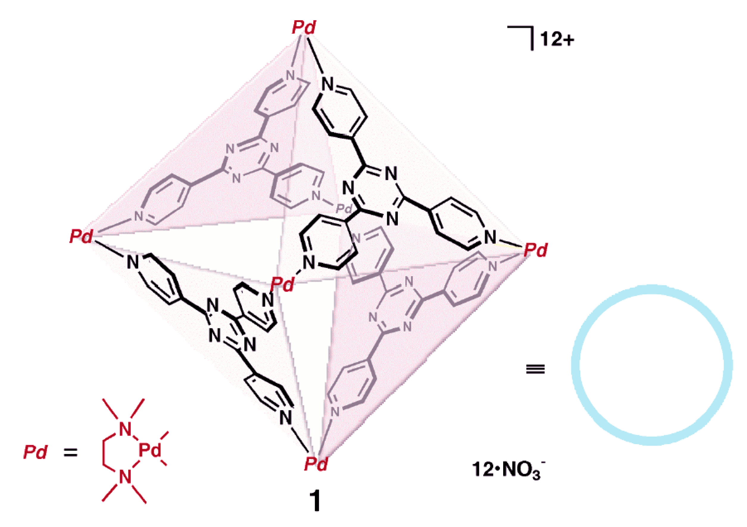 Molecules 26 00106 g029