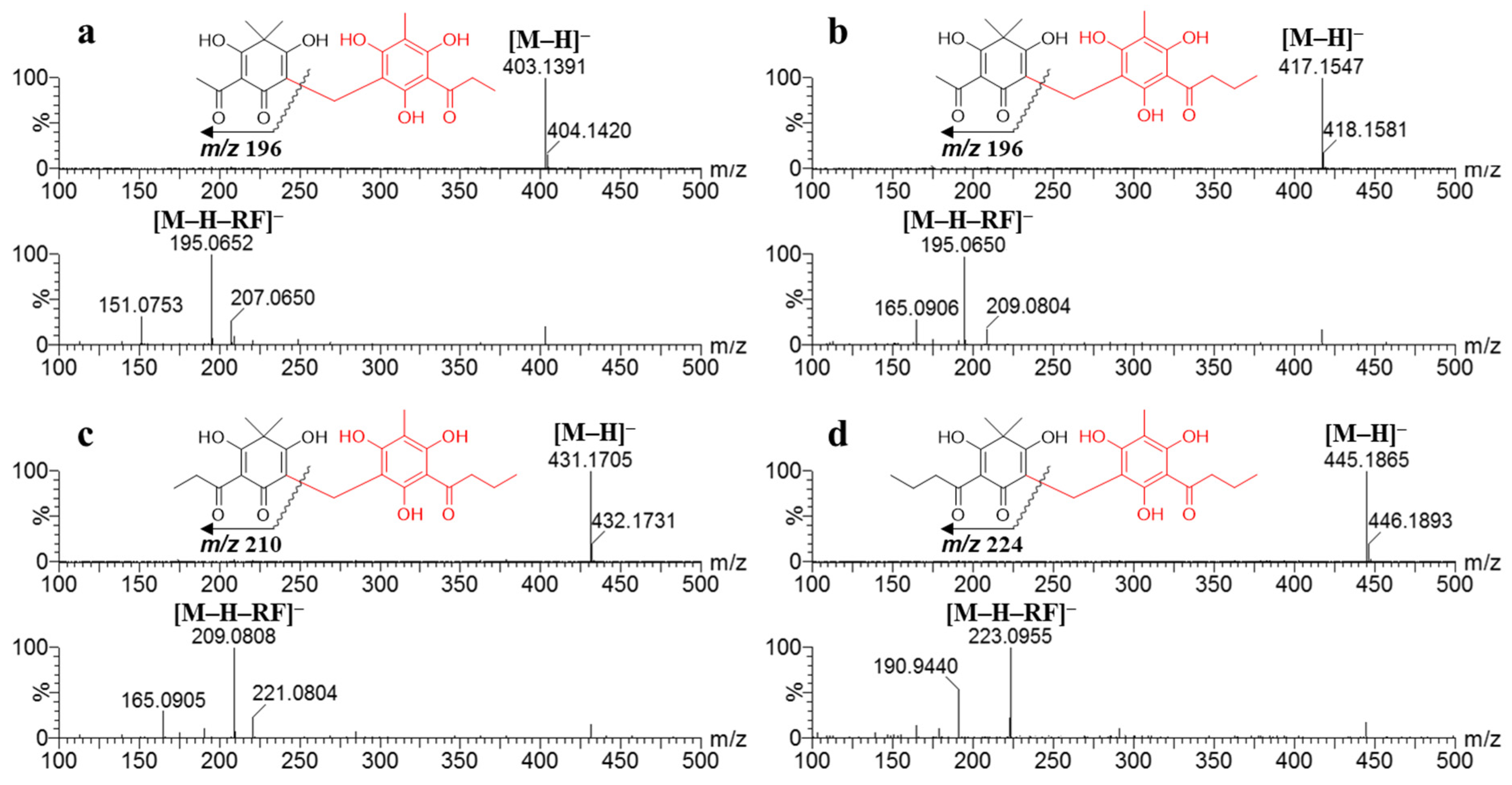 Molecules 26 00122 g004 Molecules 26 00122 g004