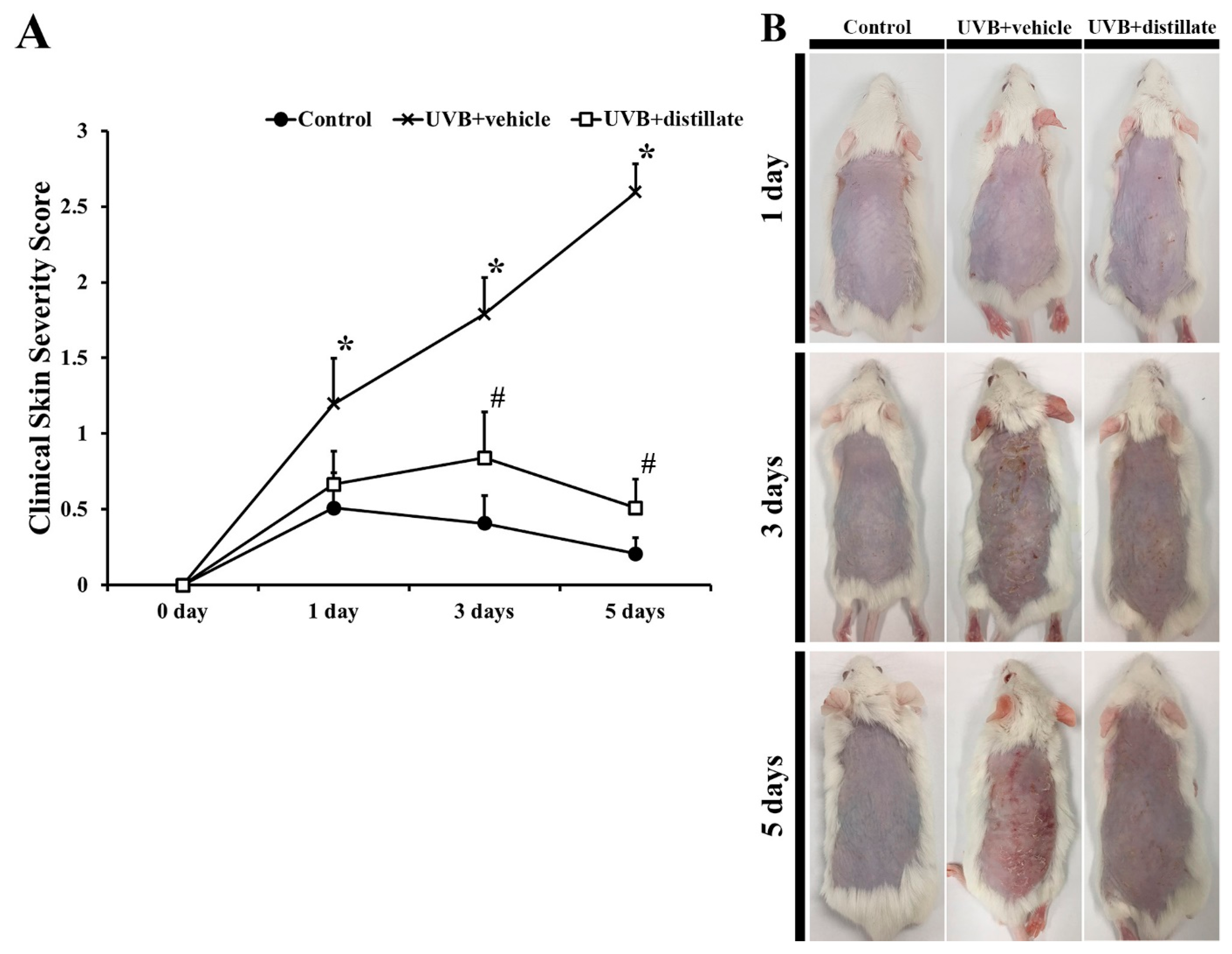 Molecules 26 00124 g002 Molecules 26 00124 g002