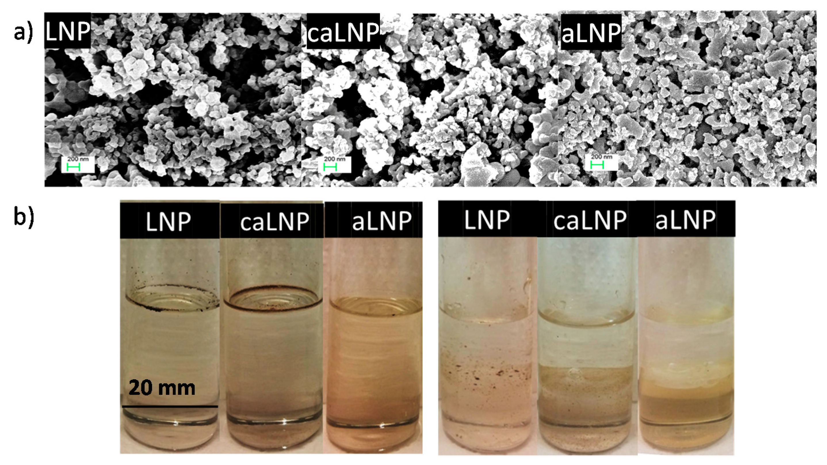 Molecules 26 00126 g001 Molecules 26 00126 g001