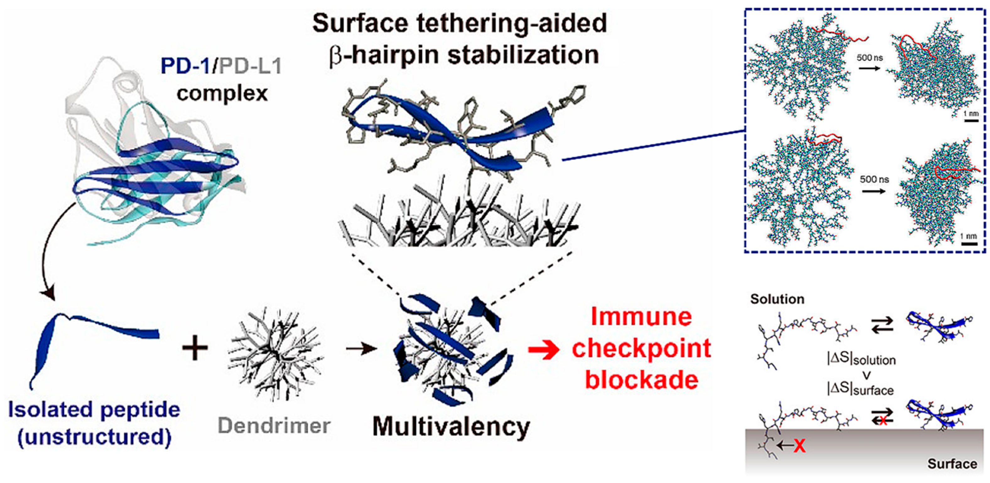 Molecules 26 00132 g001