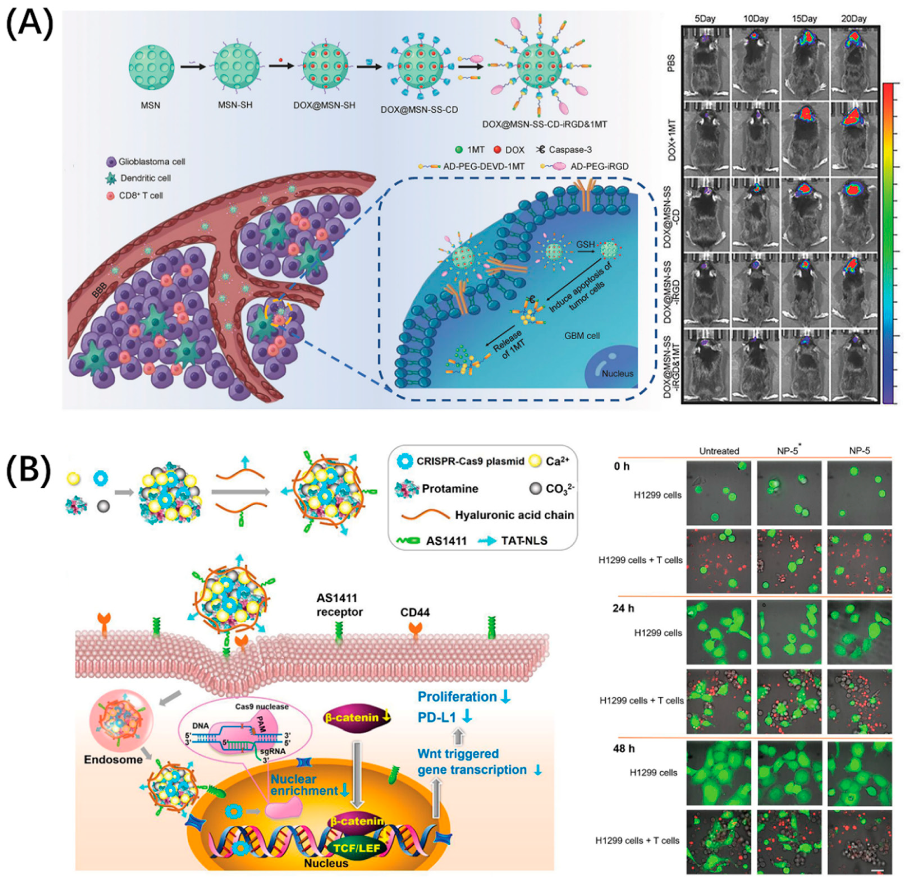 Molecules 26 00132 g002