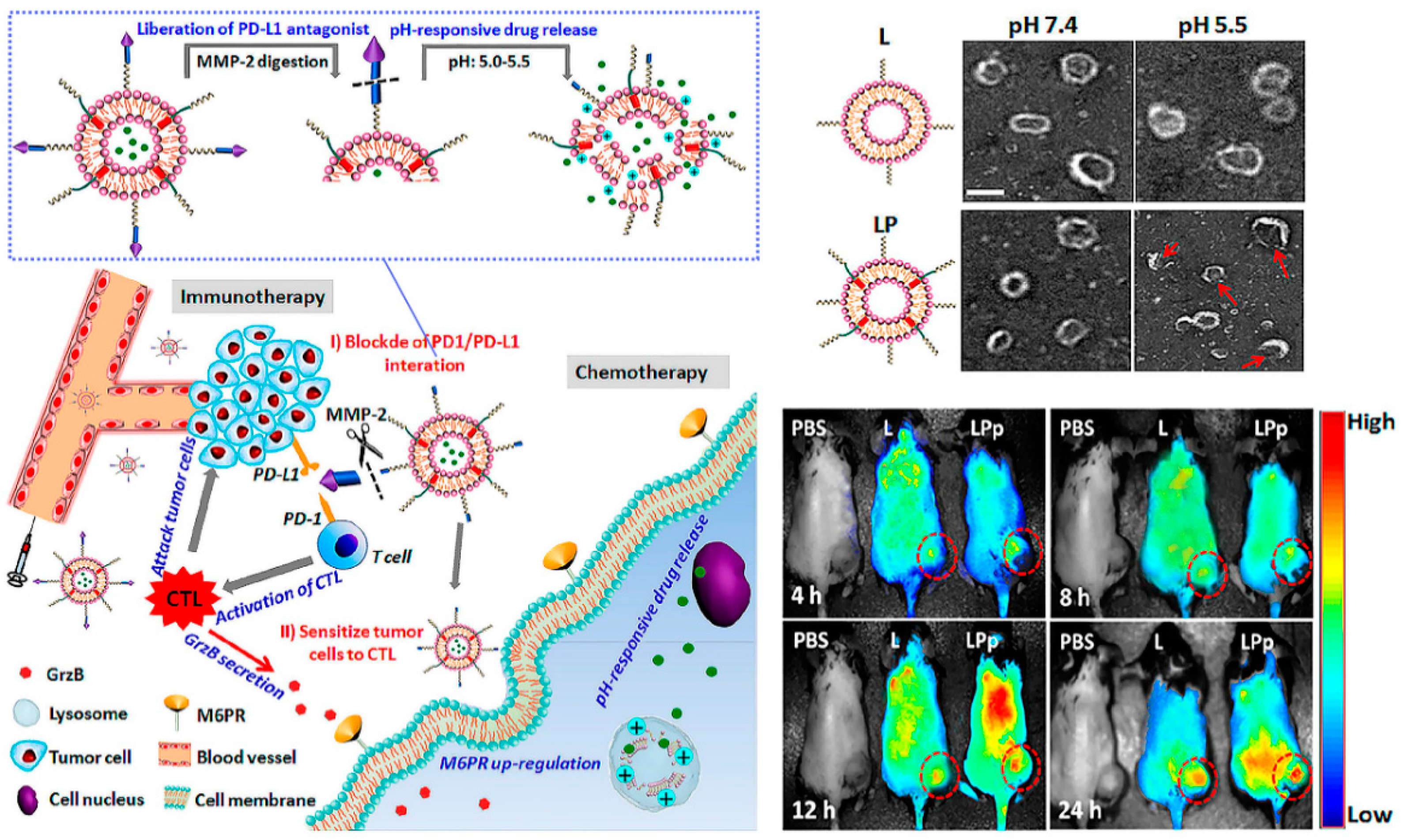Molecules 26 00132 g003