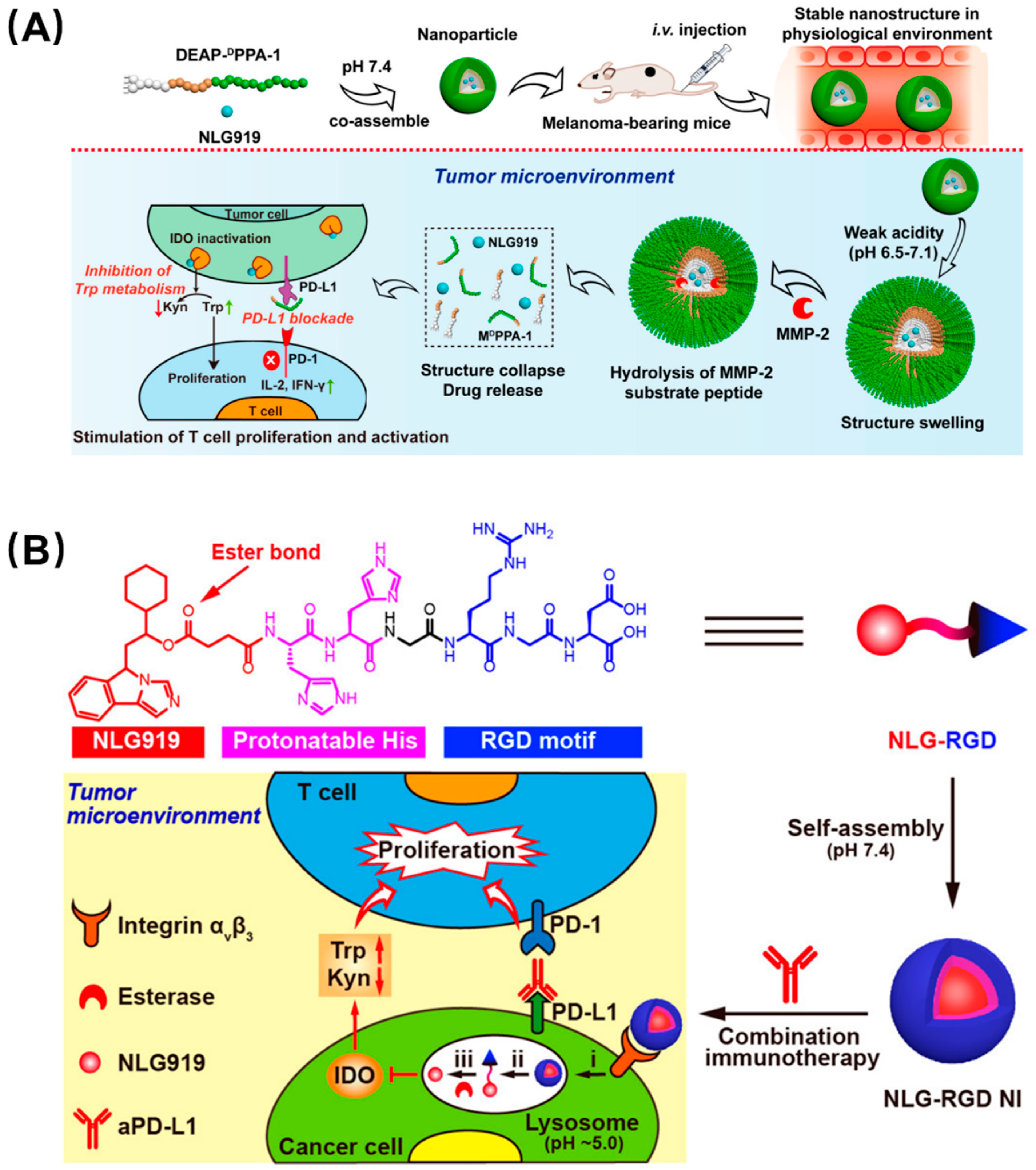 Molecules 26 00132 g004
