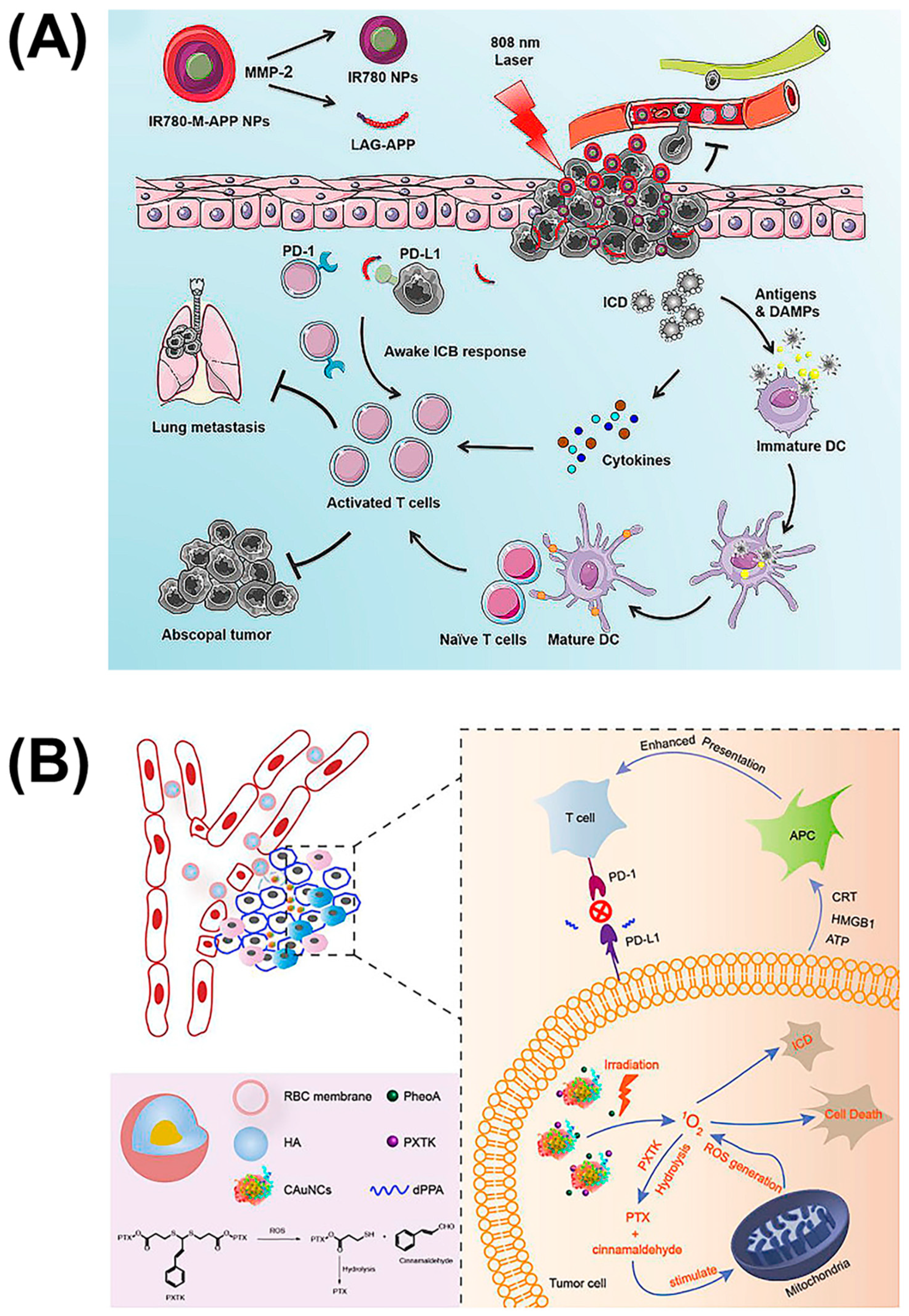 Molecules 26 00132 g006