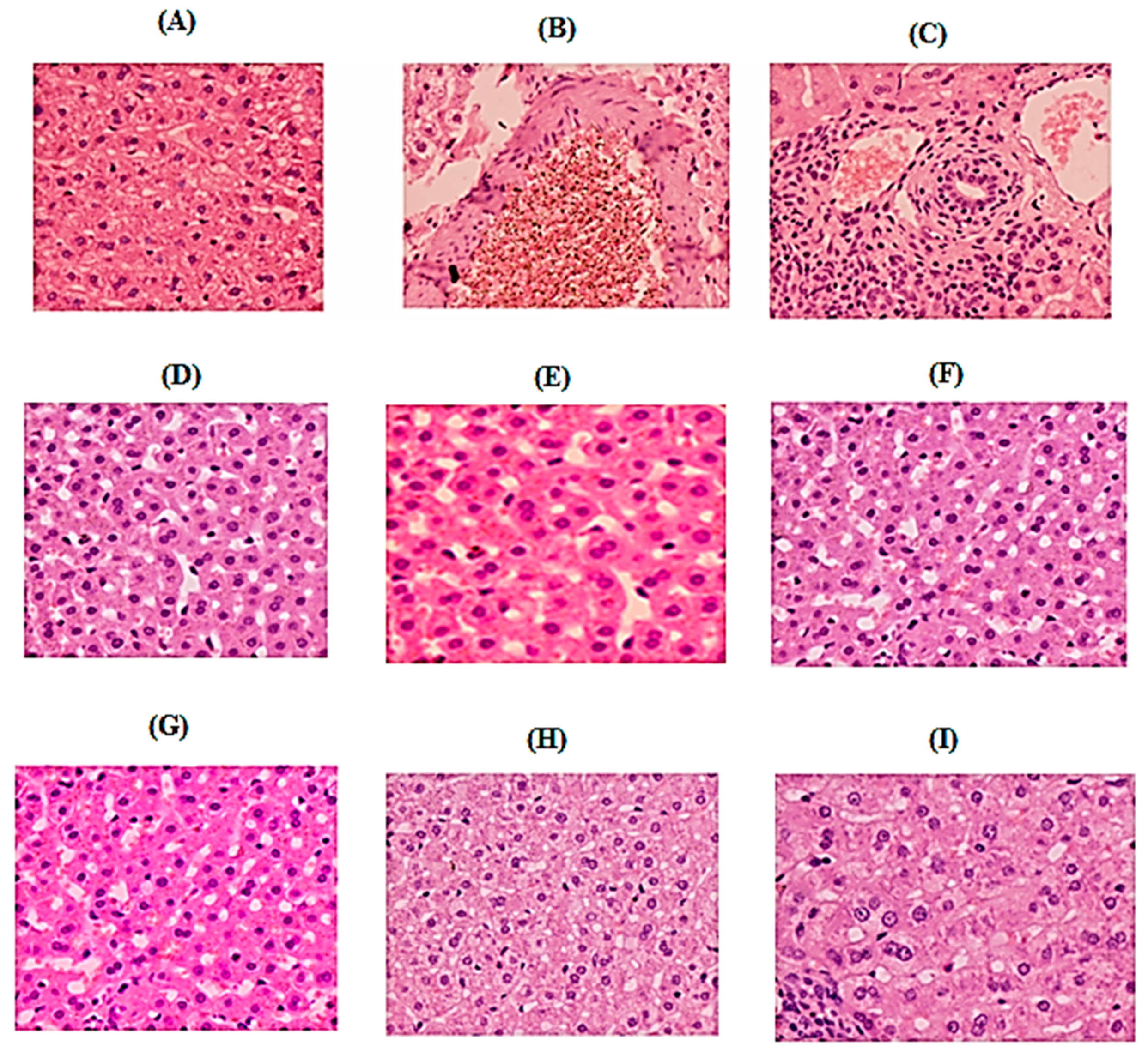 Molecules 26 00137 g006