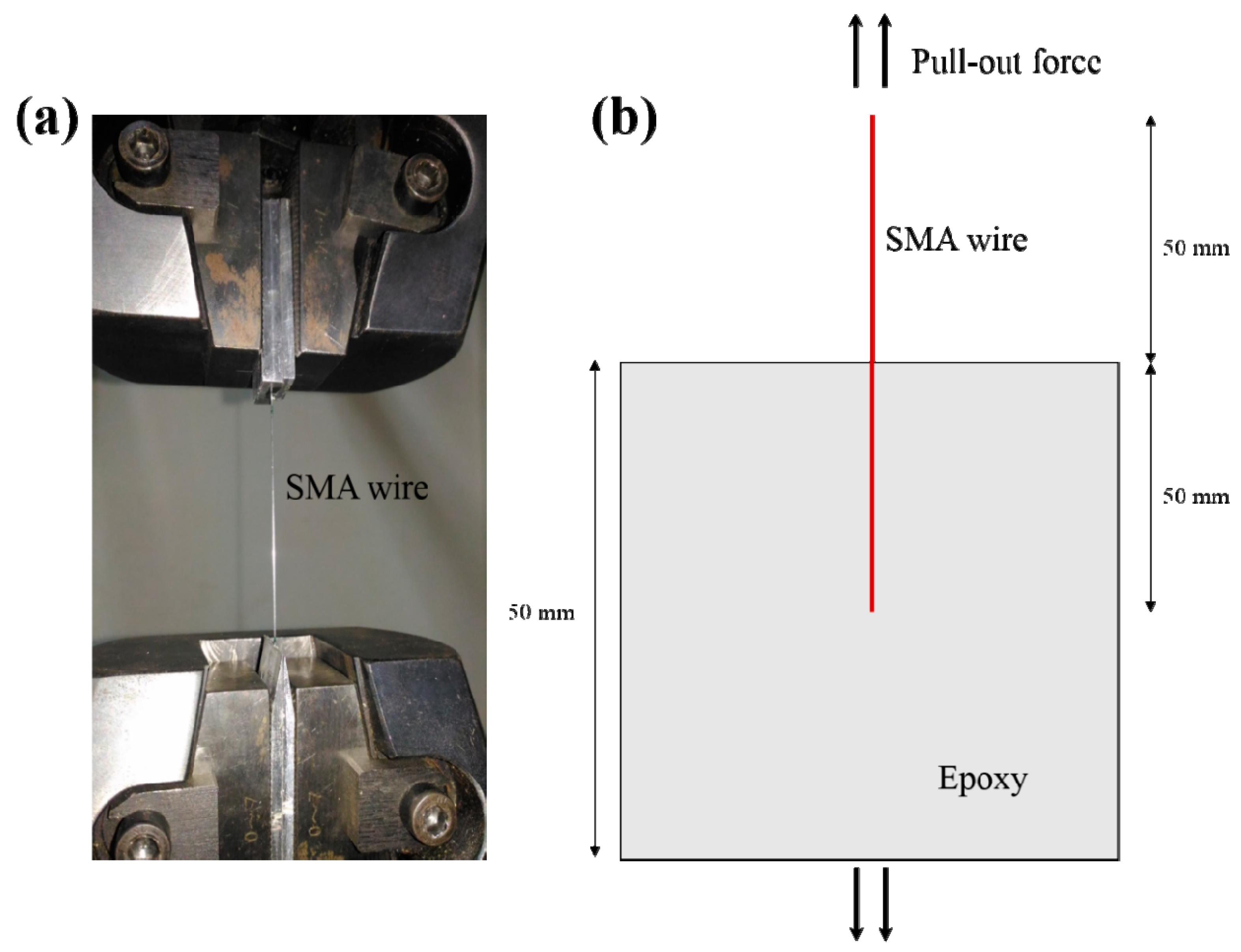 Molecules 26 00138 g002 Molecules 26 00138 g002