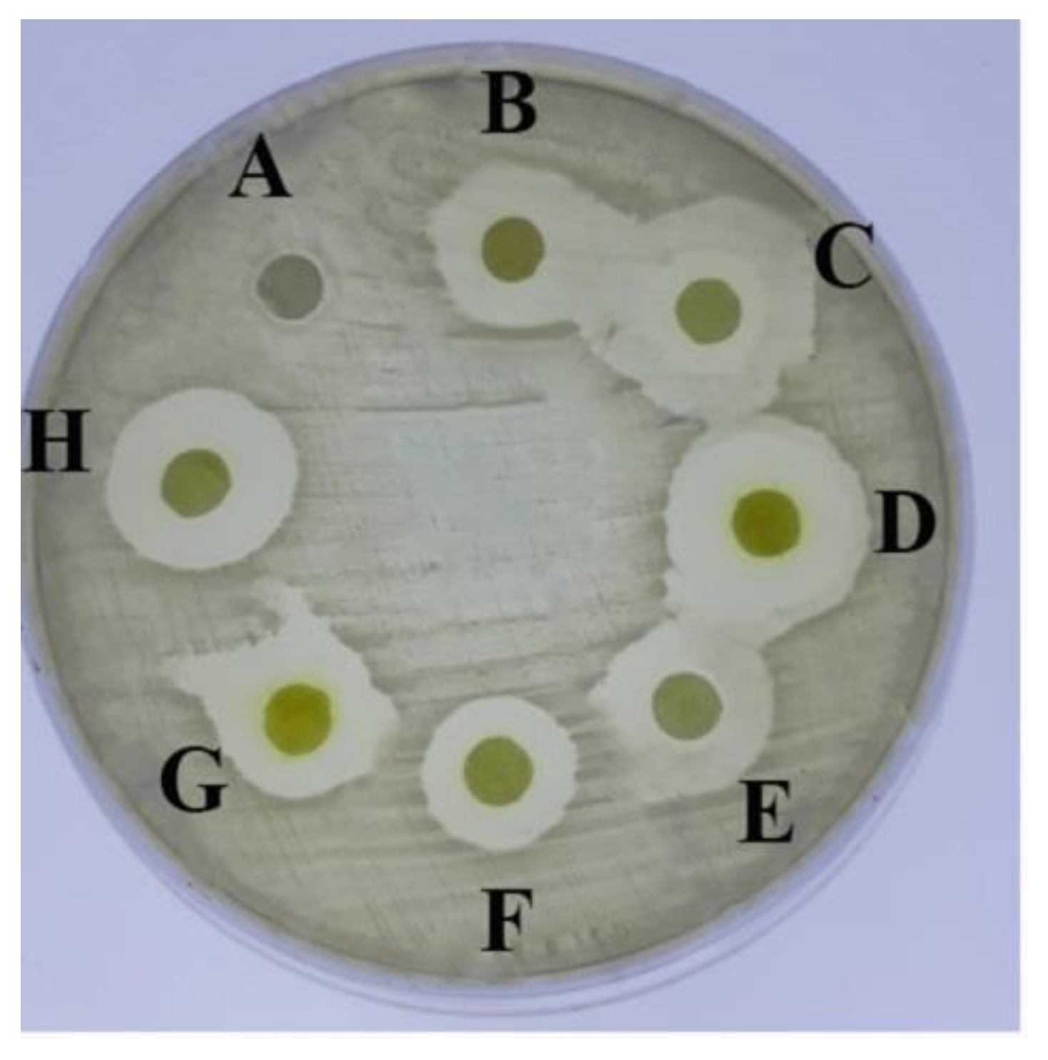 Molecules 26 00139 g002 Molecules 26 00139 g002