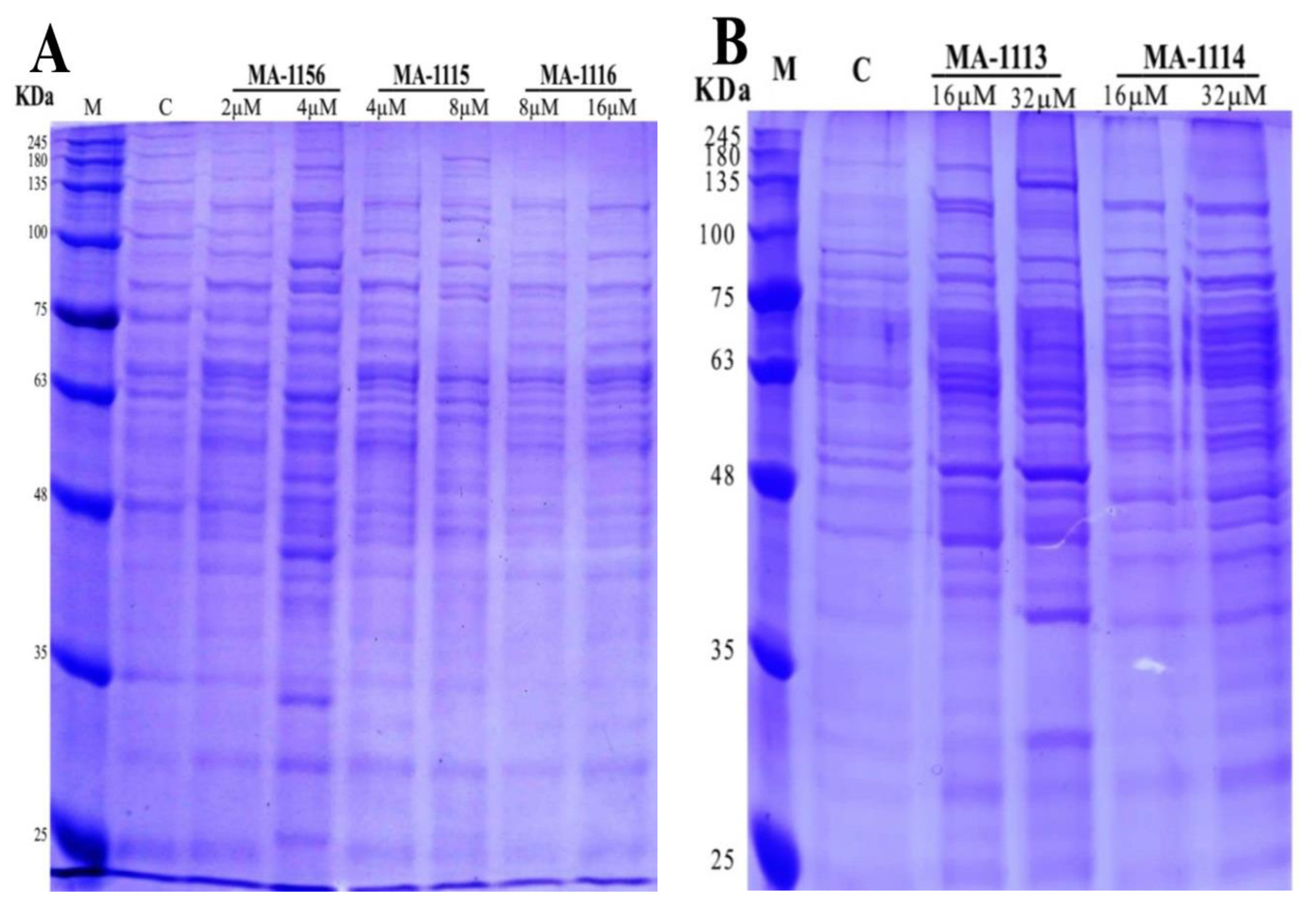 Molecules 26 00139 g004 Molecules 26 00139 g004