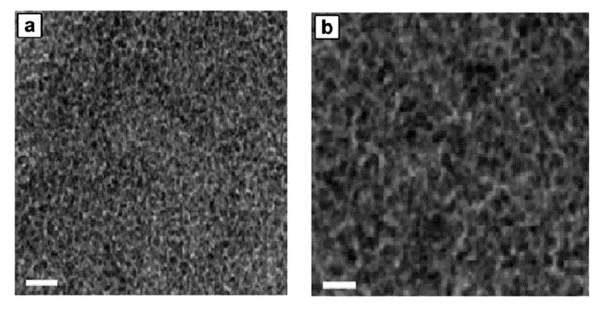 Molecules 26 00153 g008 Molecules 26 00153 g008