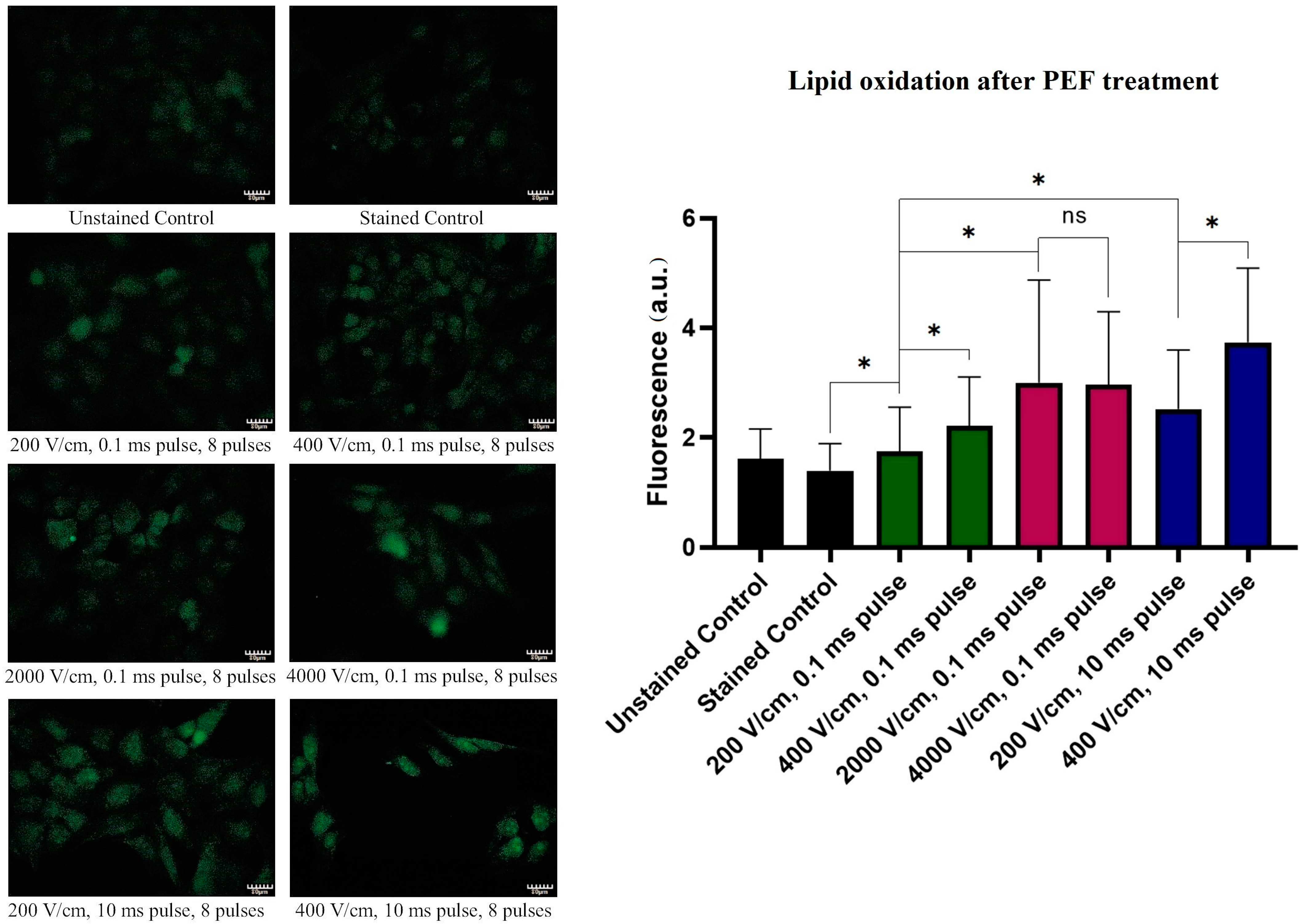 Molecules 26 00154 g007