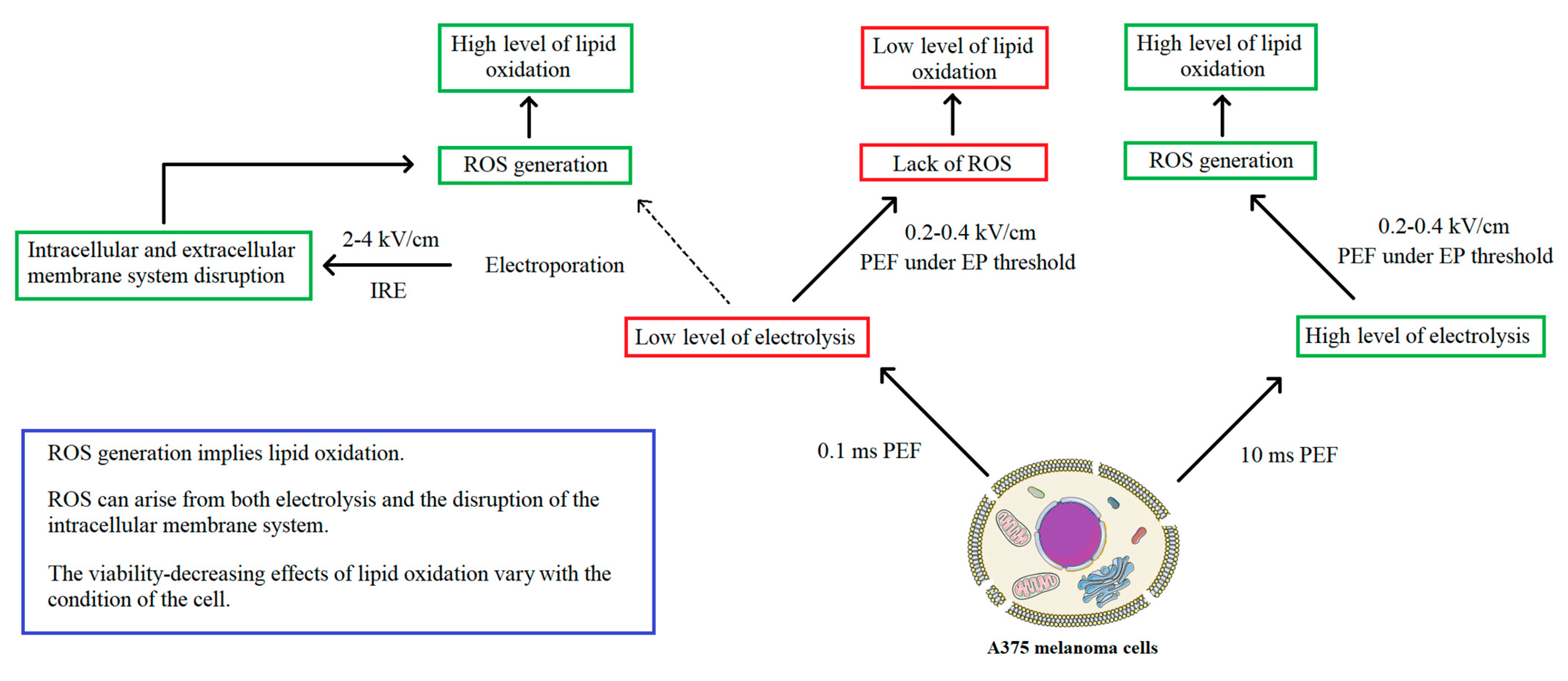 Molecules 26 00154 g008