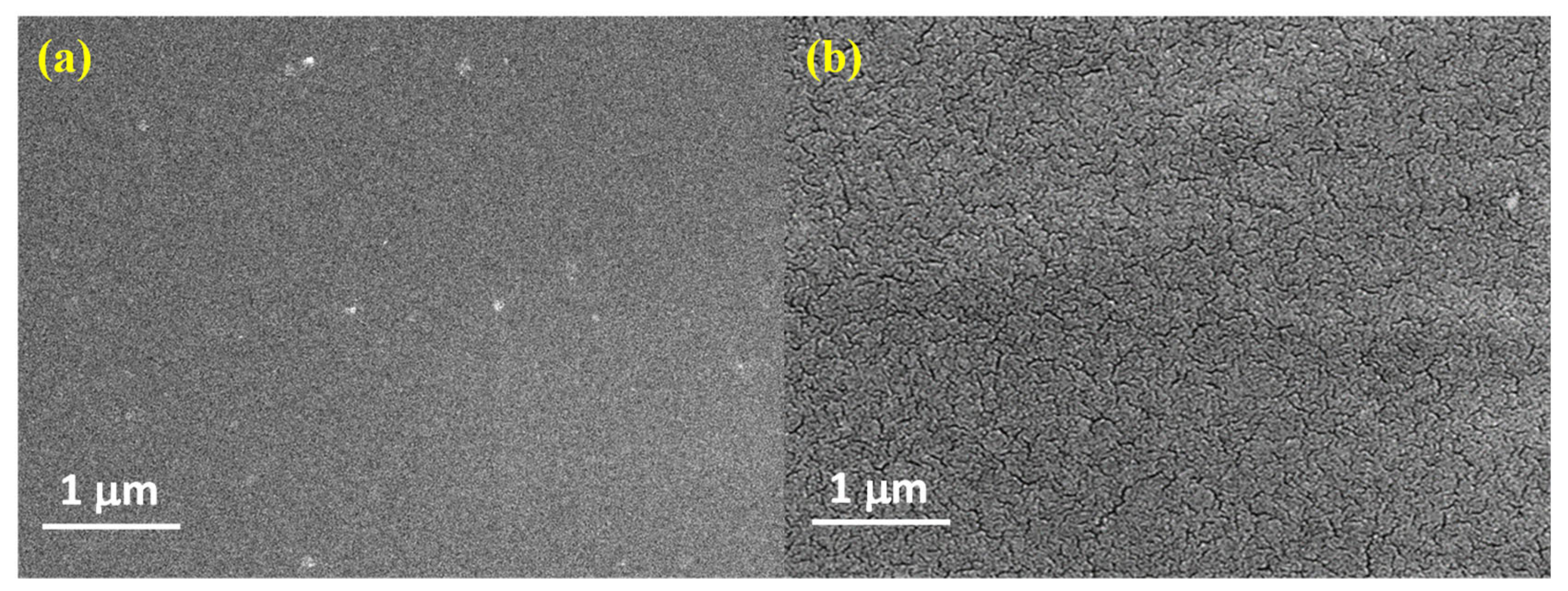 Molecules 26 00161 g005 Molecules 26 00161 g005