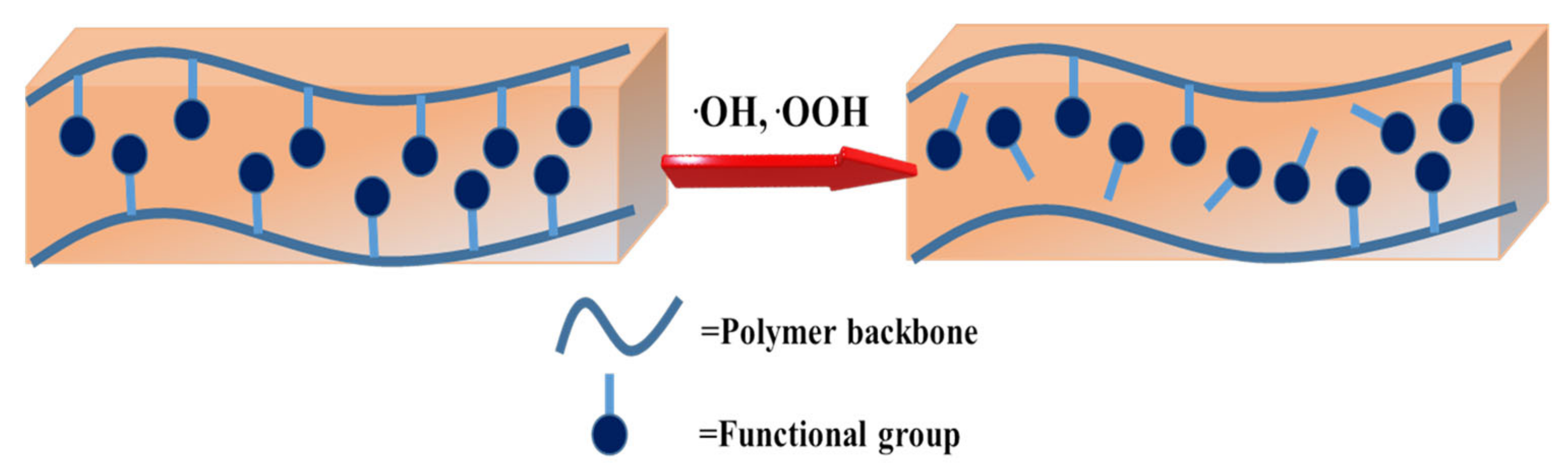 Molecules 26 00161 g008 Molecules 26 00161 g008