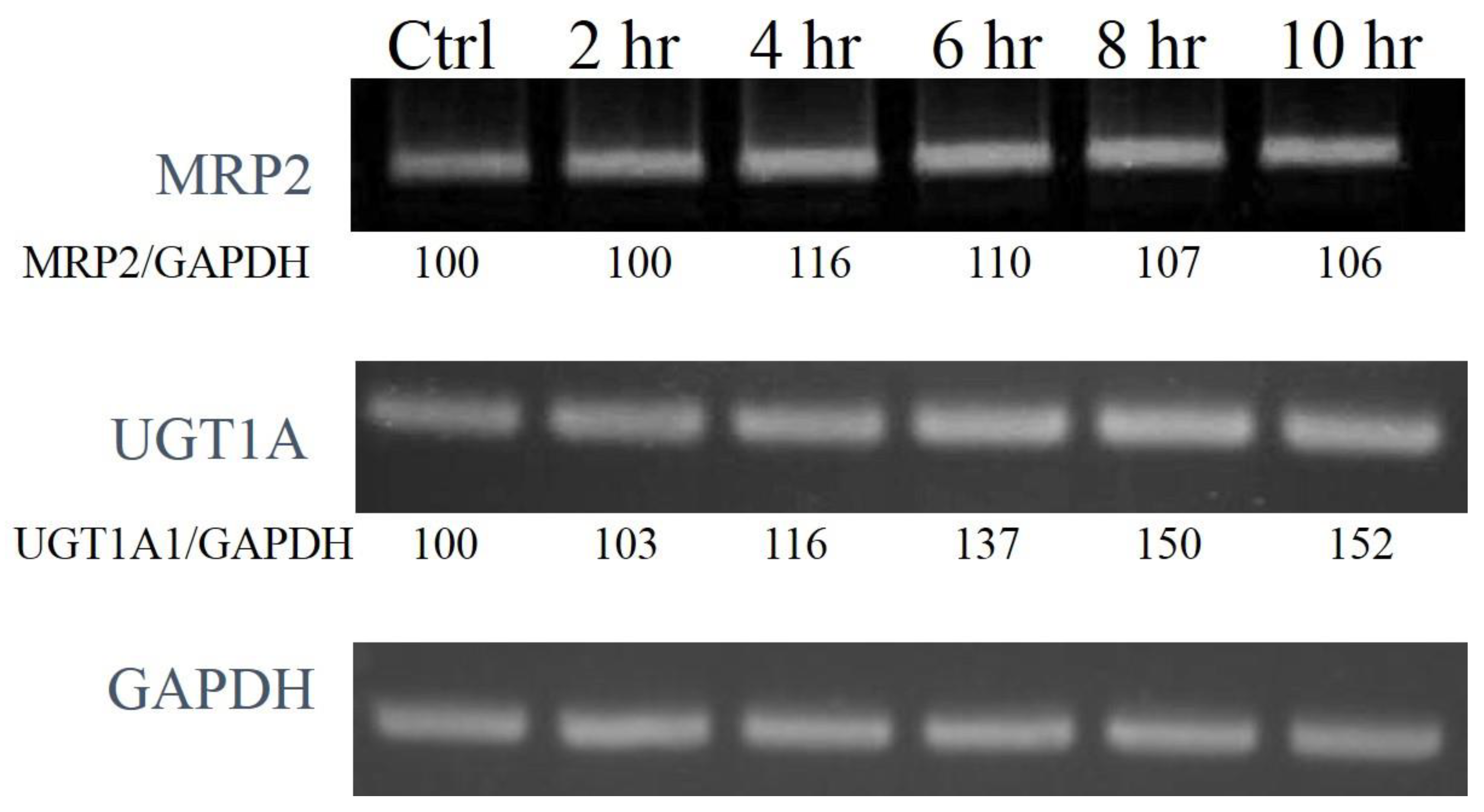 Molecules 26 00164 g006 Molecules 26 00164 g006