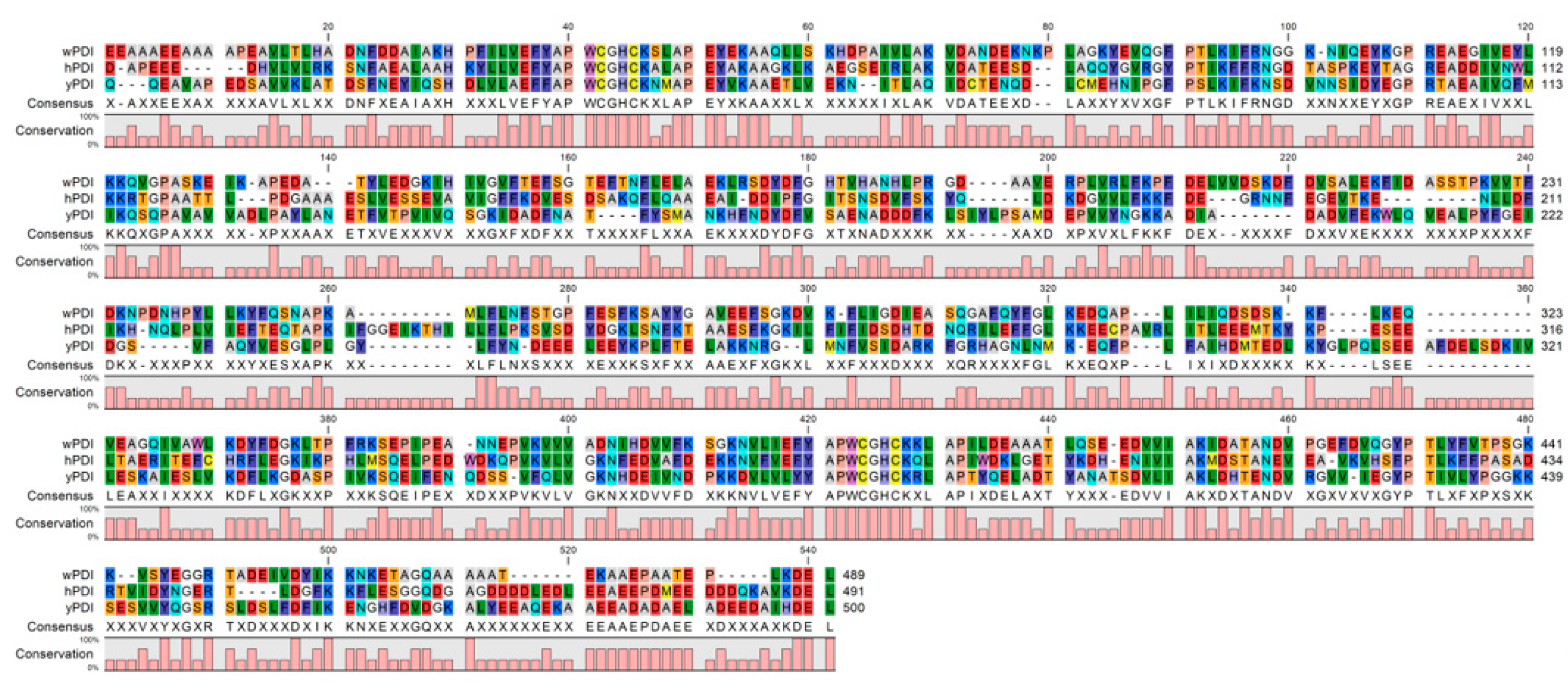 Molecules 26 00171 g001 Molecules 26 00171 g001