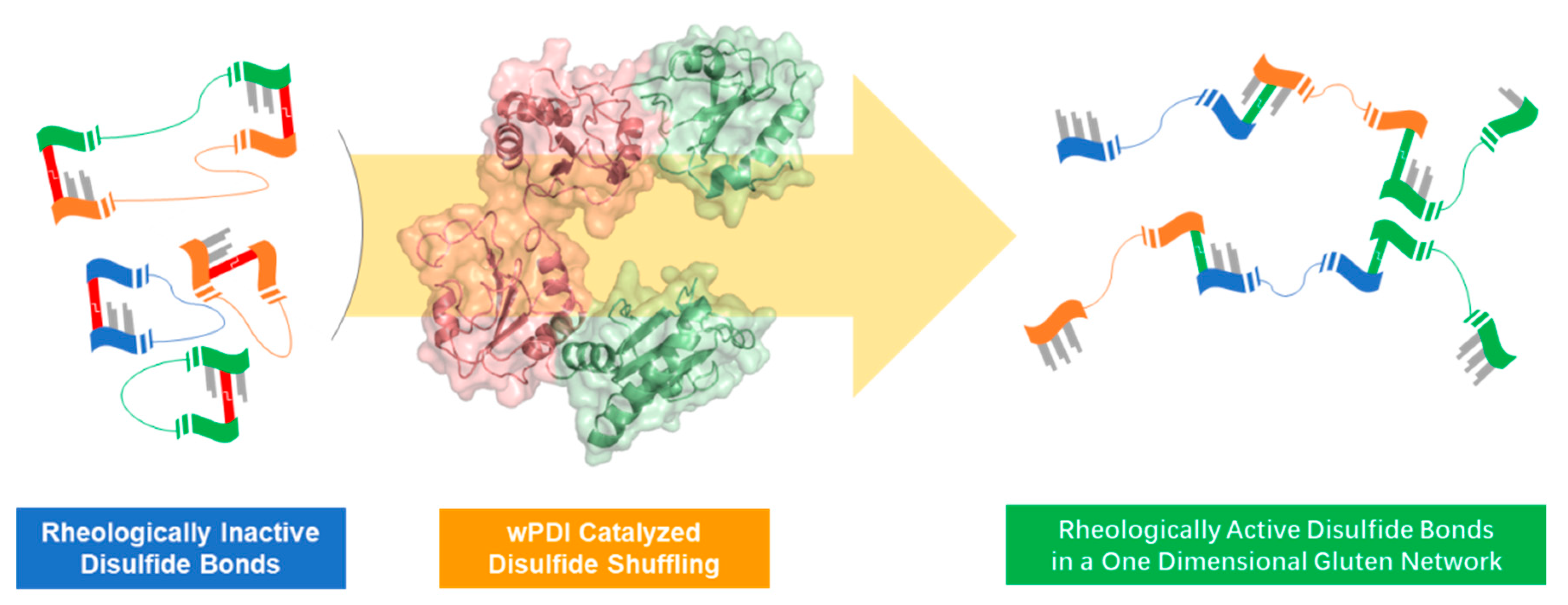 Molecules 26 00171 g005 Molecules 26 00171 g005