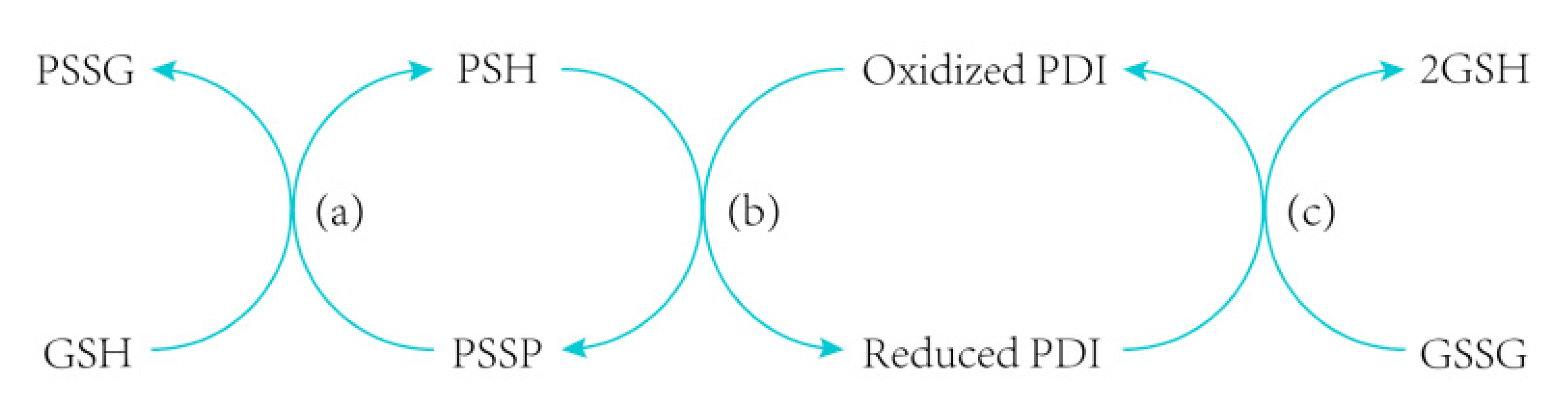 Molecules 26 00171 g006 Molecules 26 00171 g006