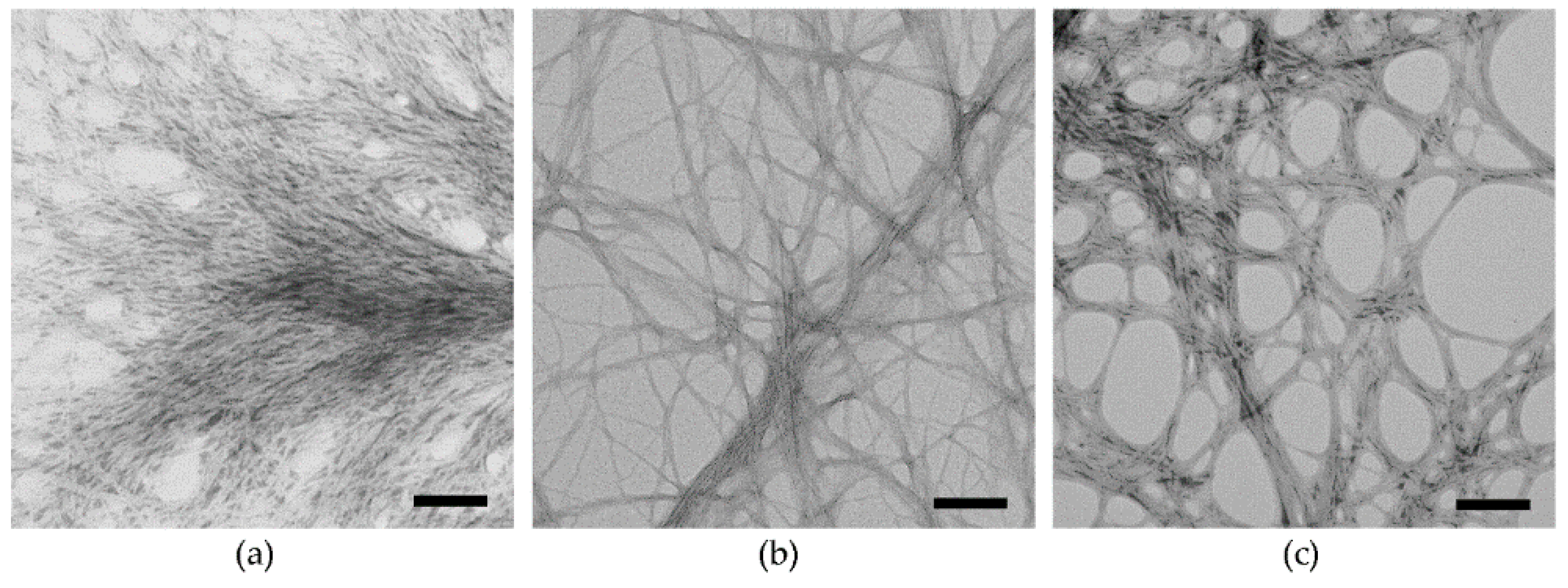 Molecules 26 00173 g002 Molecules 26 00173 g002