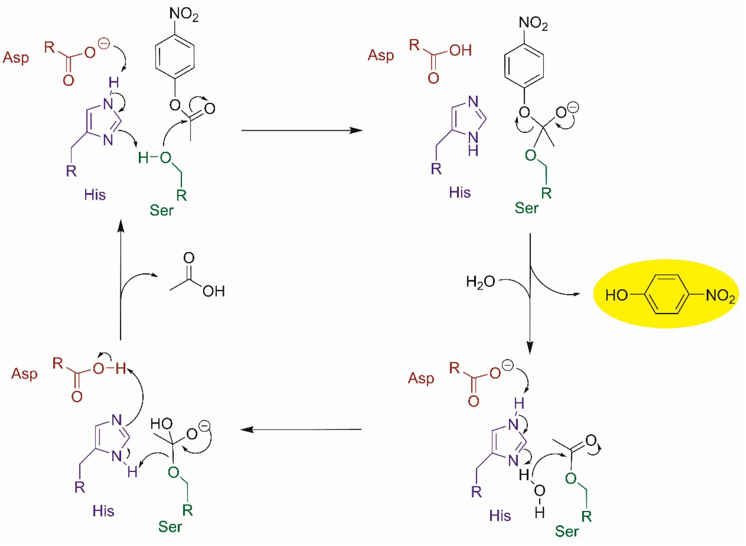 Molecules 26 00173 sch001 Molecules 26 00173 sch001