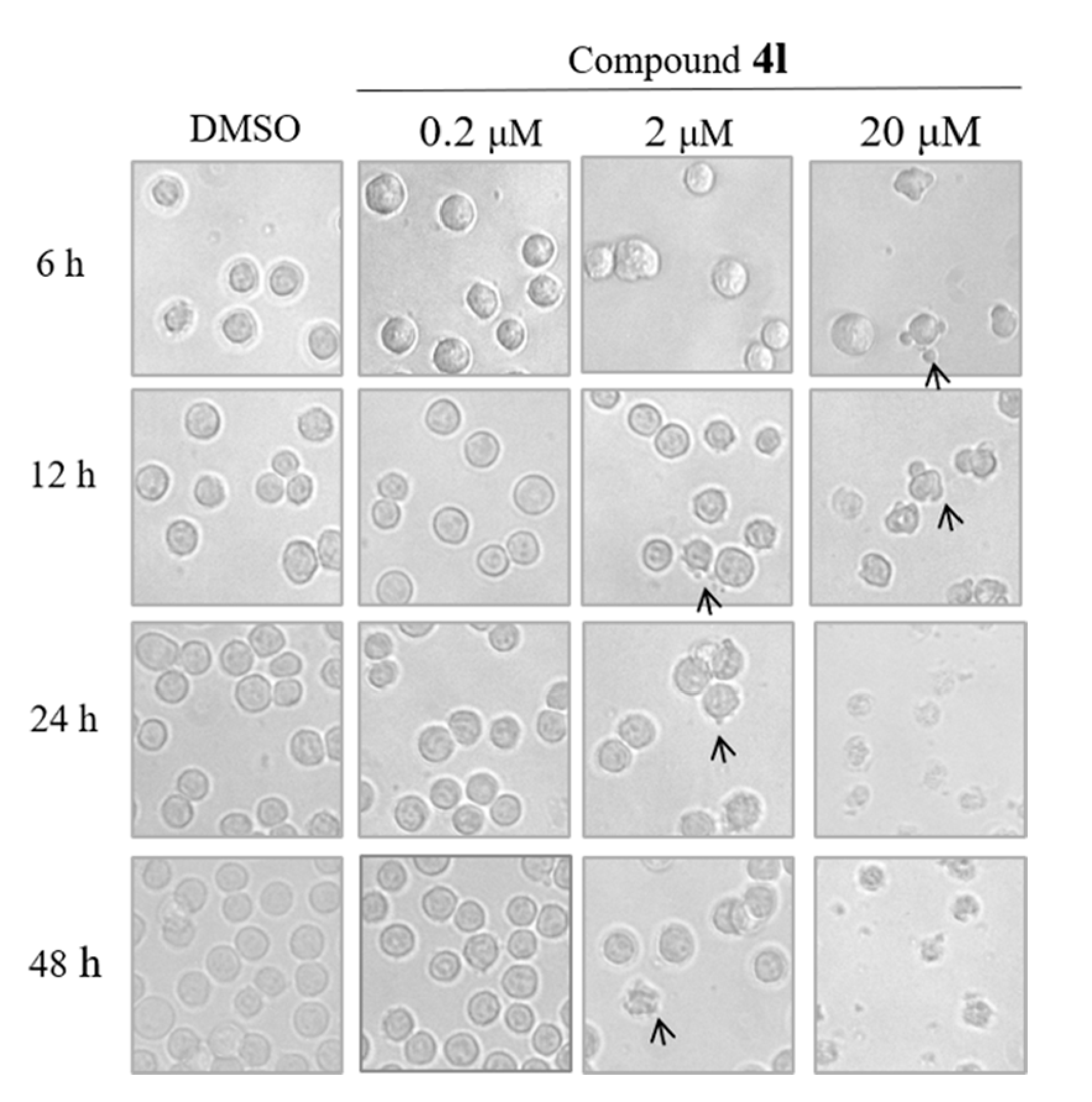 Molecules 26 00176 g001