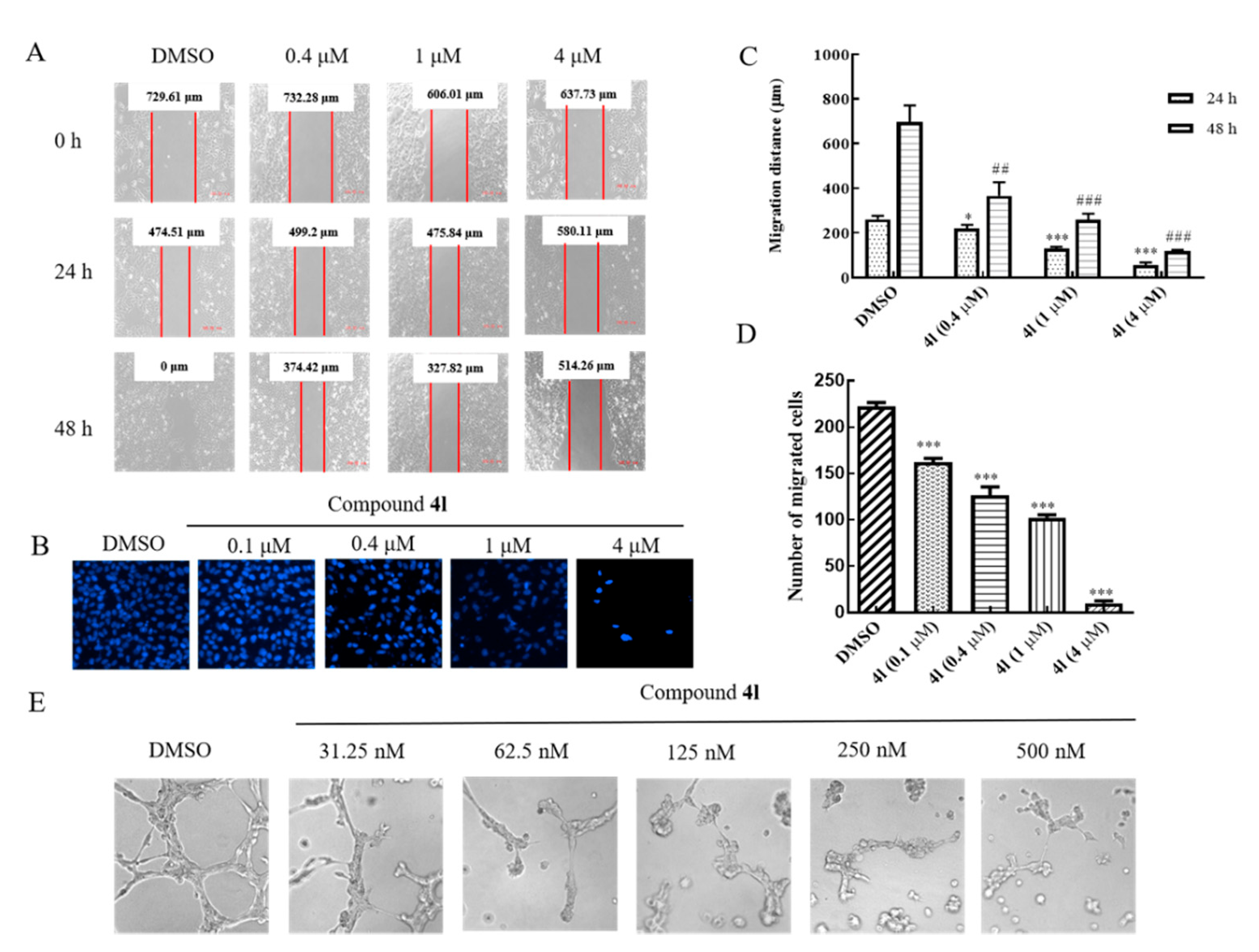 Molecules 26 00176 g004
