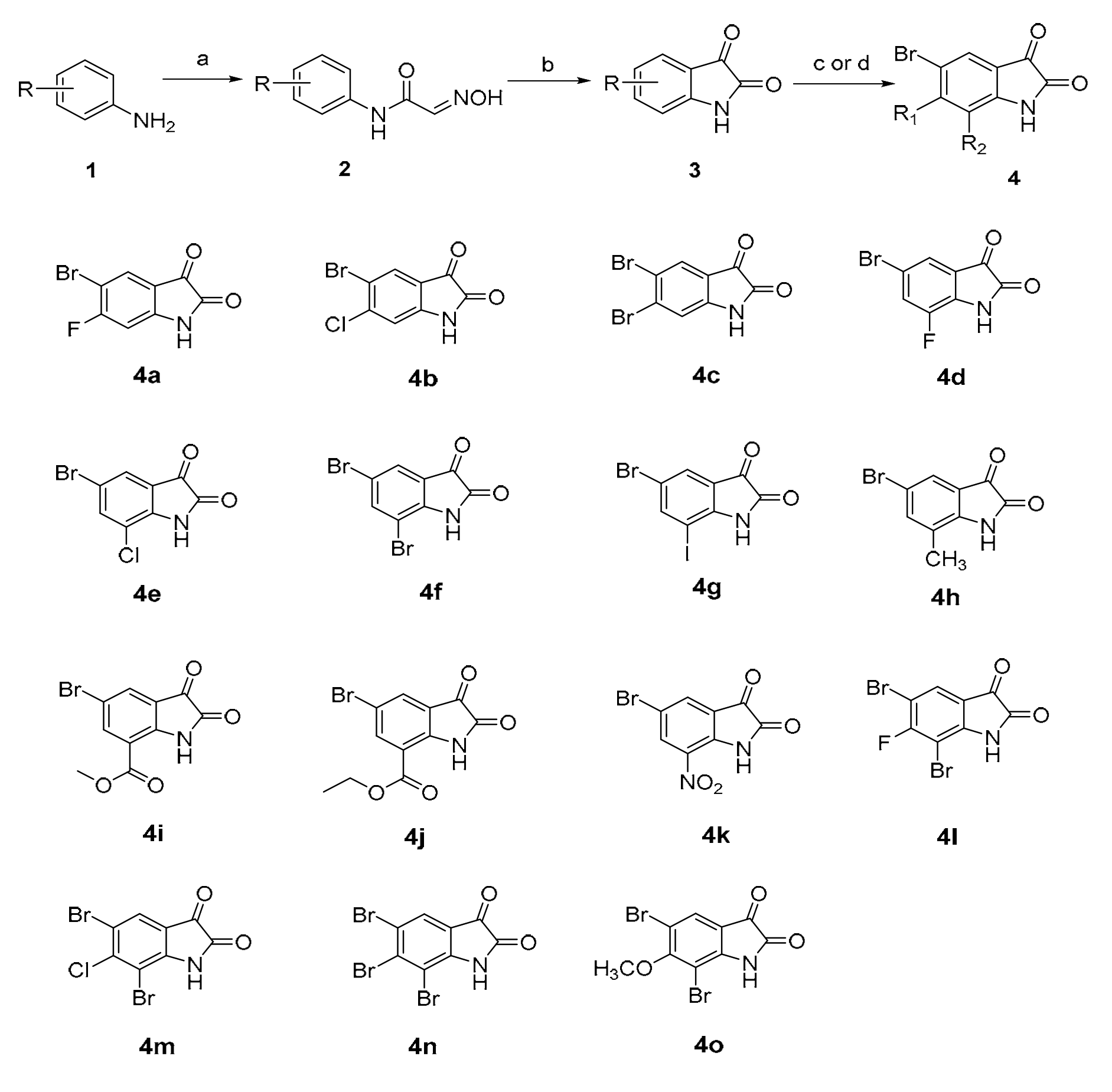 Molecules 26 00176 sch001