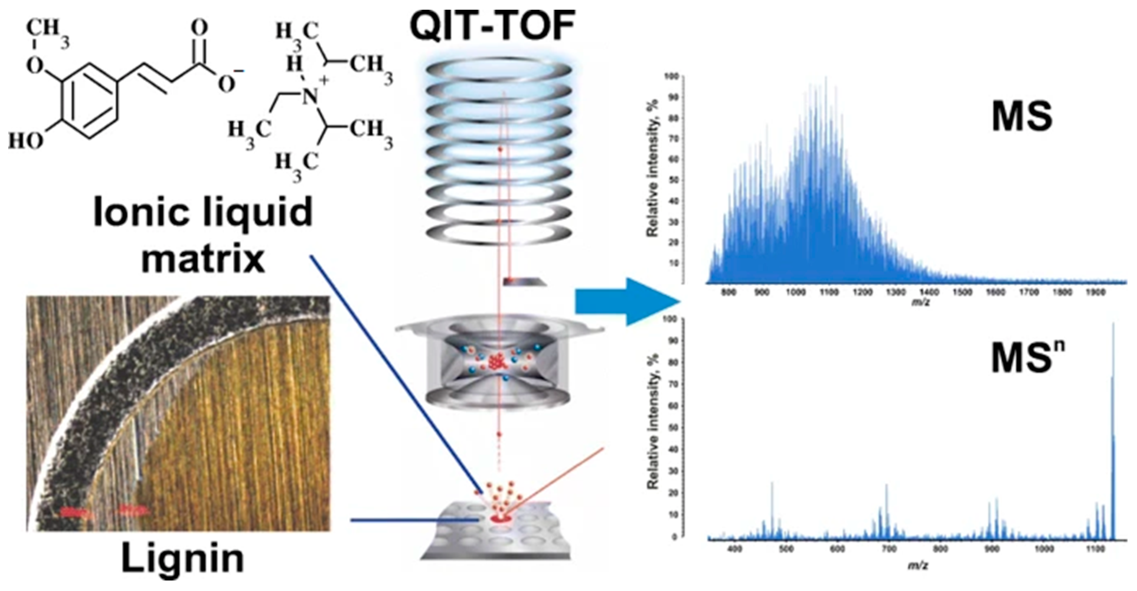 Molecules 26 00178 g001