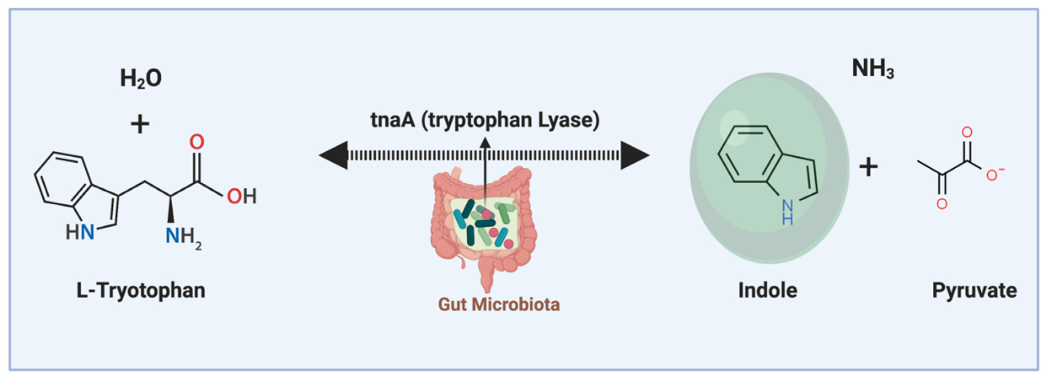 Molecules 26 00179 g004 Molecules 26 00179 g004