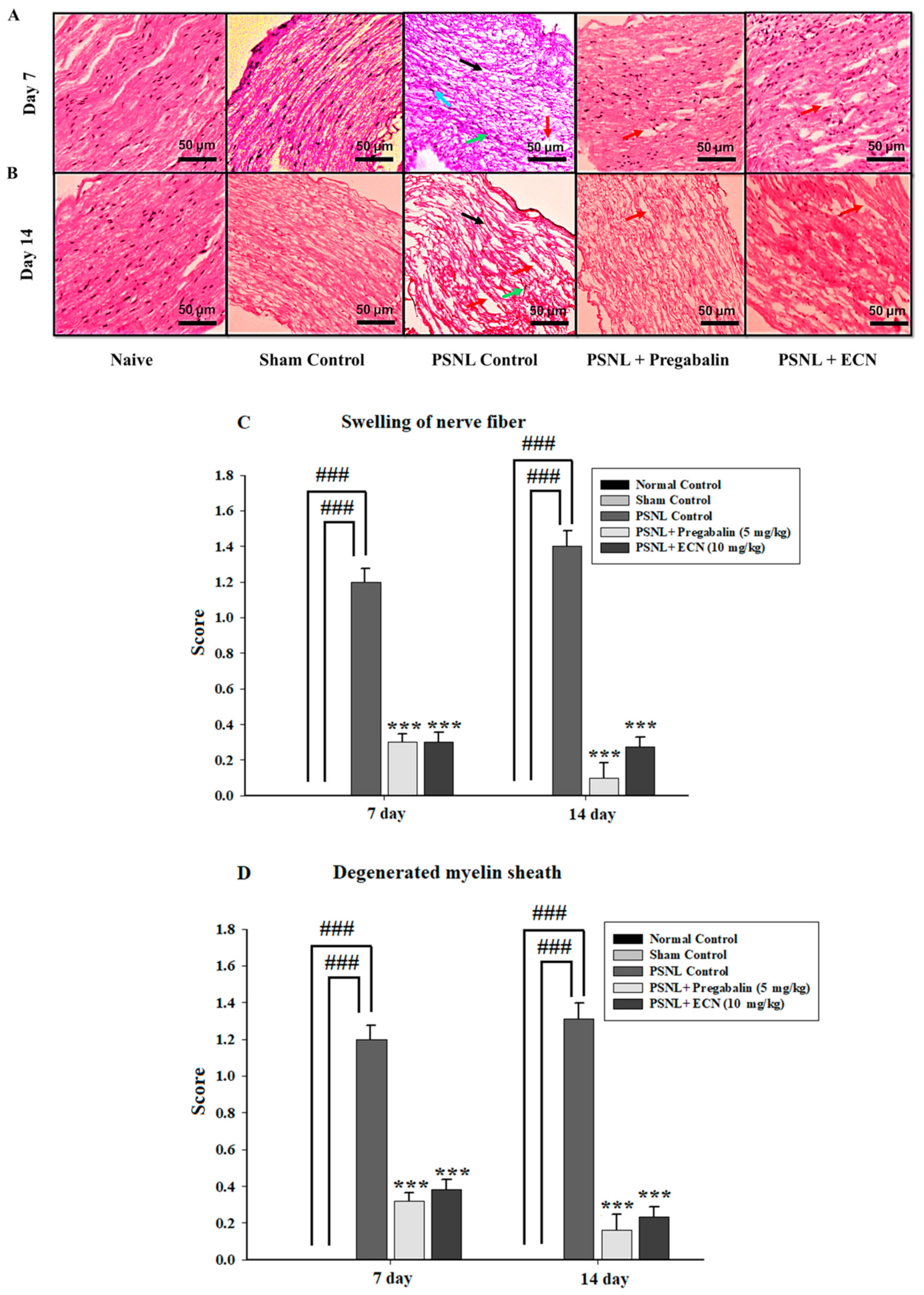 Molecules 26 00181 g005a Molecules 26 00181 g005a
