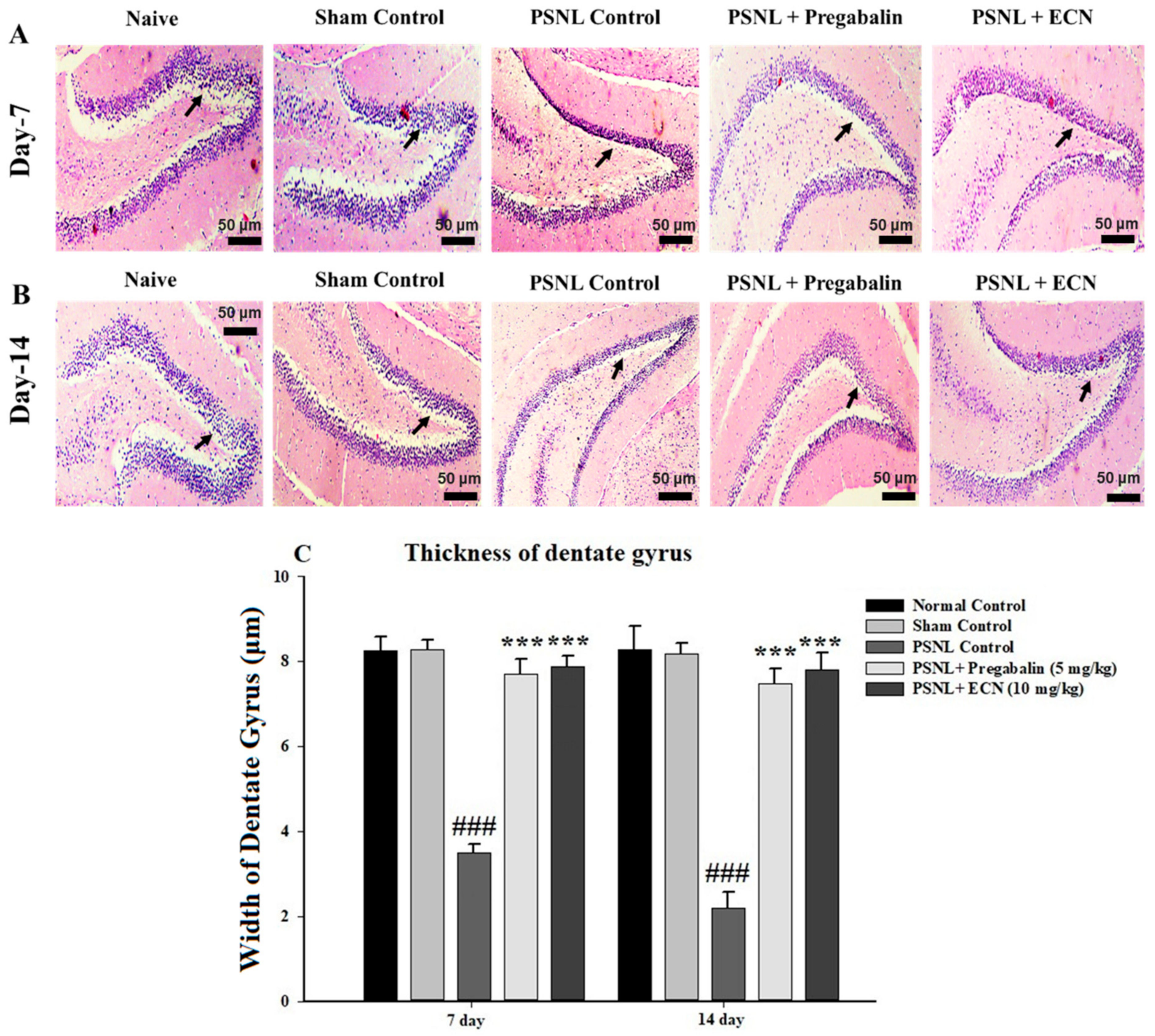 Molecules 26 00181 g007 Molecules 26 00181 g007