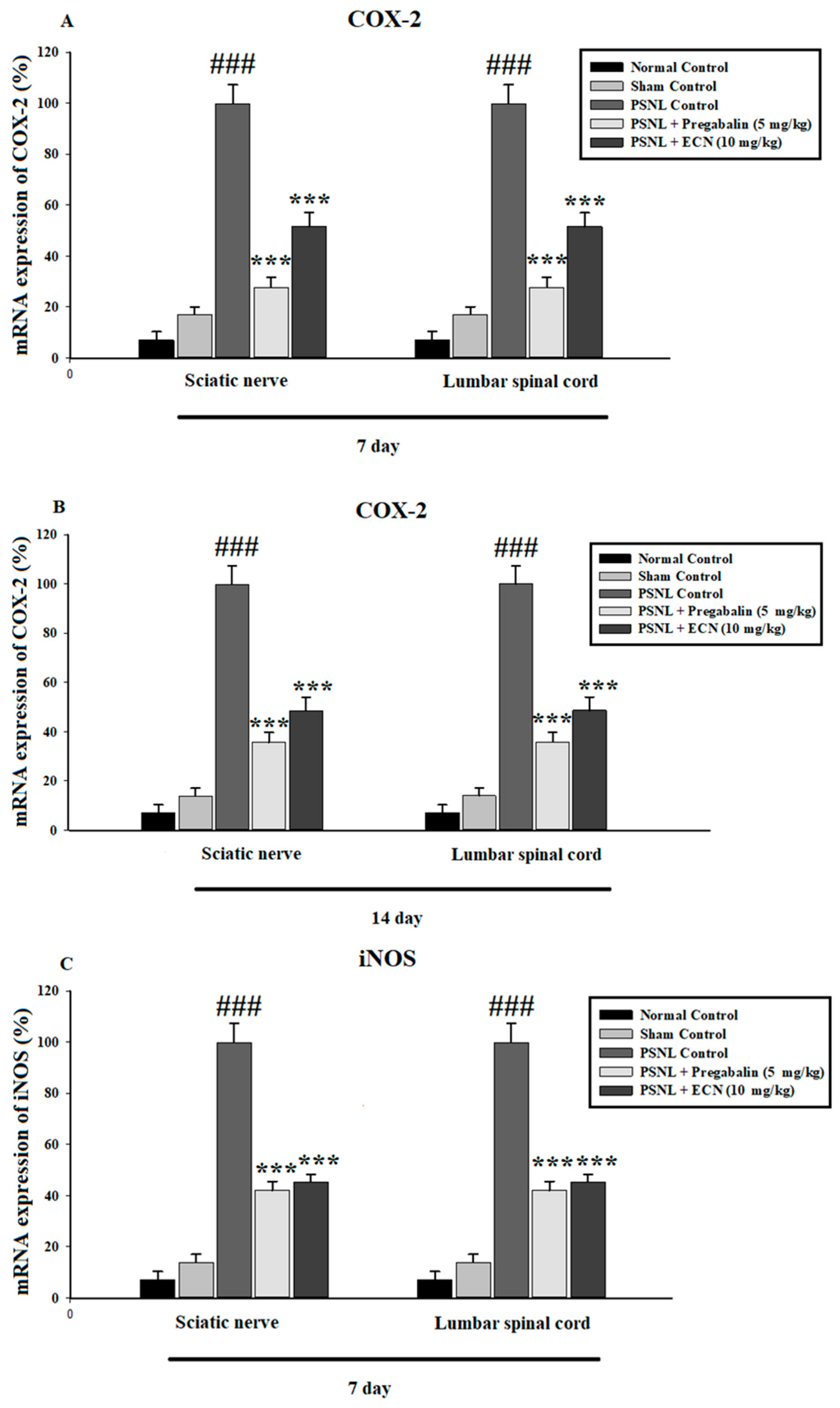 Molecules 26 00181 g008a Molecules 26 00181 g008a