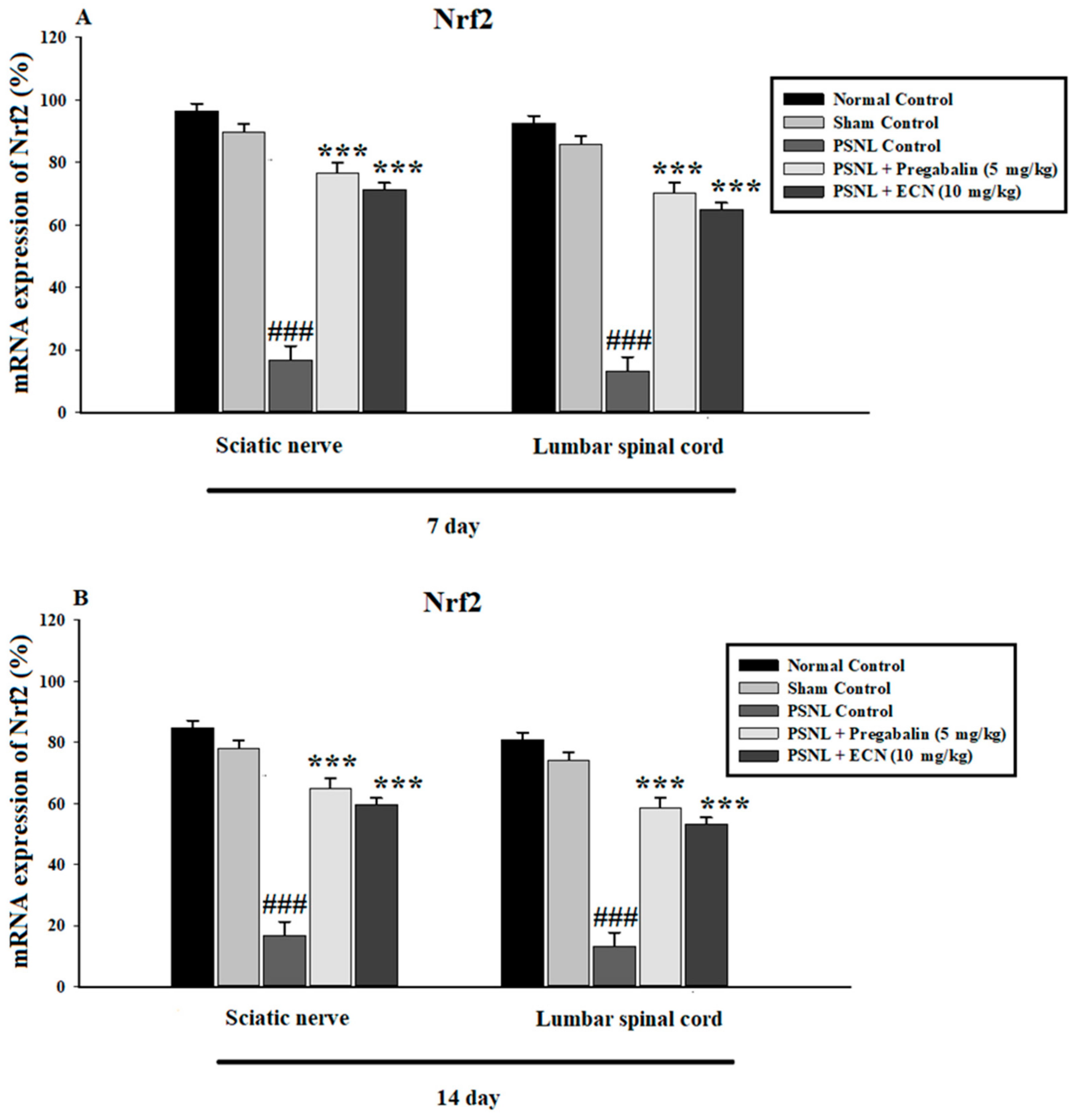 Molecules 26 00181 g009a Molecules 26 00181 g009a