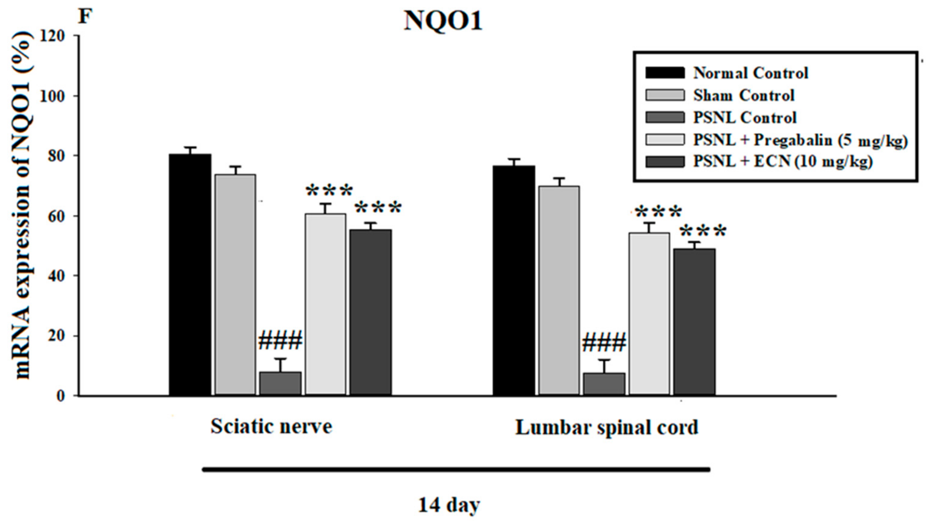 Molecules 26 00181 g009c Molecules 26 00181 g009c