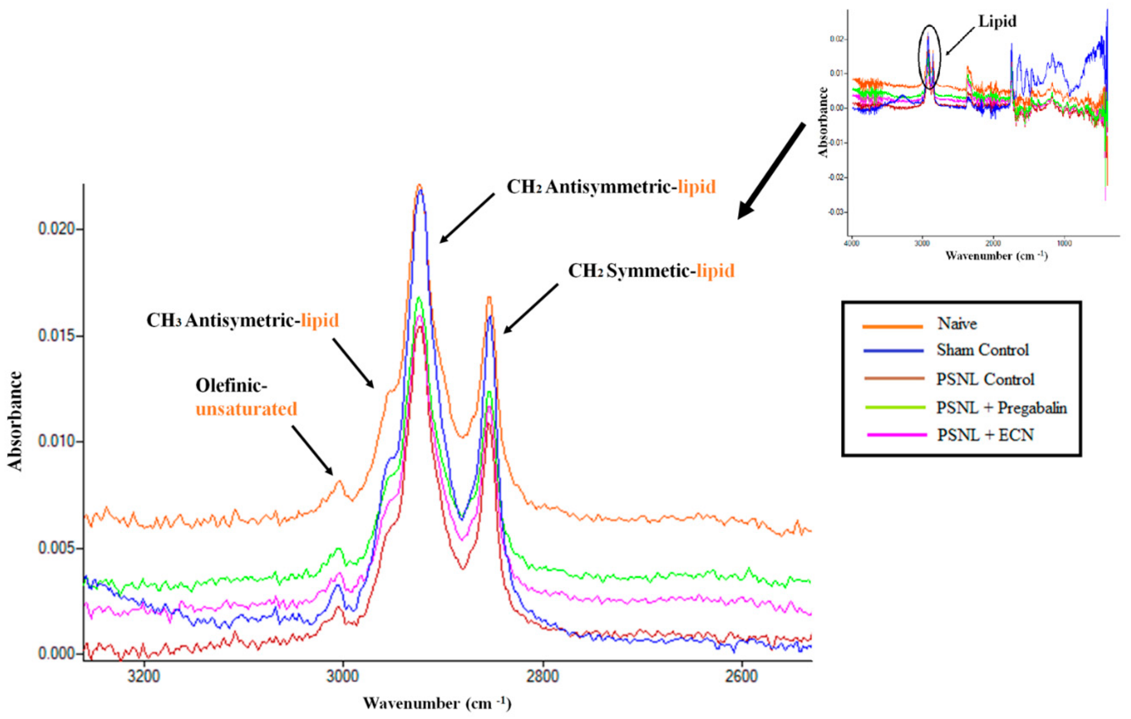 Molecules 26 00181 g011 Molecules 26 00181 g011