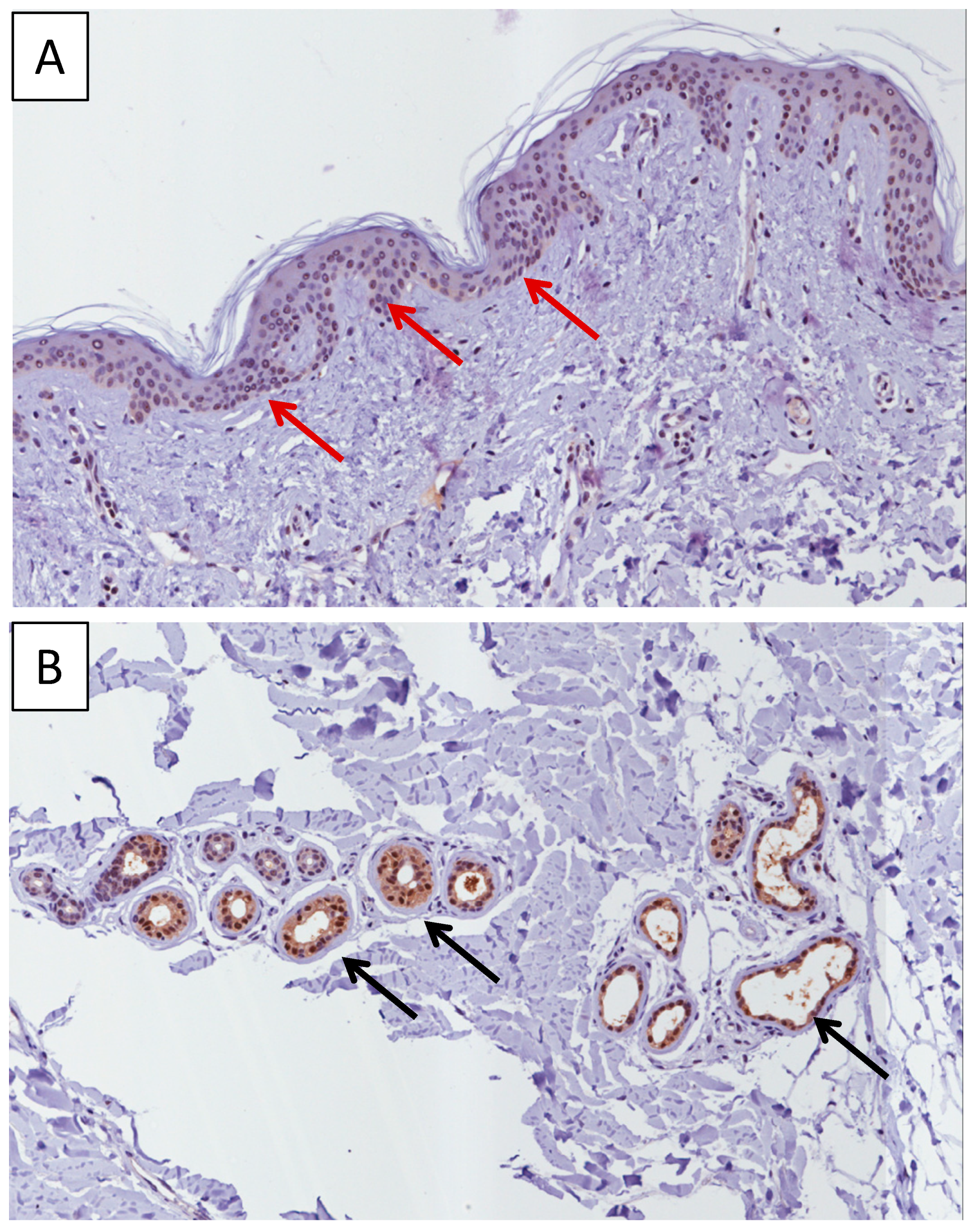 Molecules 26 00184 g001