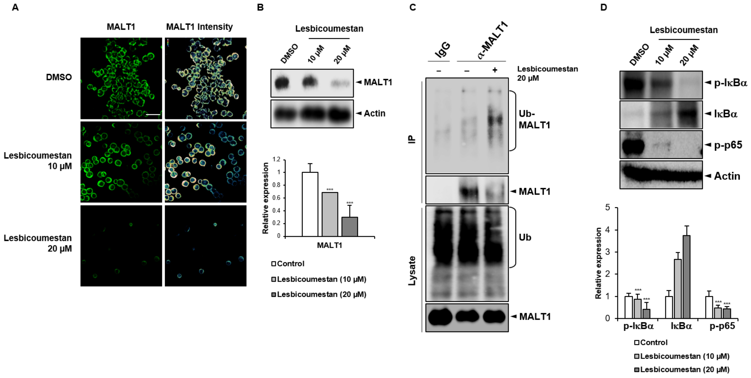 Molecules 26 00185 g004 Molecules 26 00185 g004