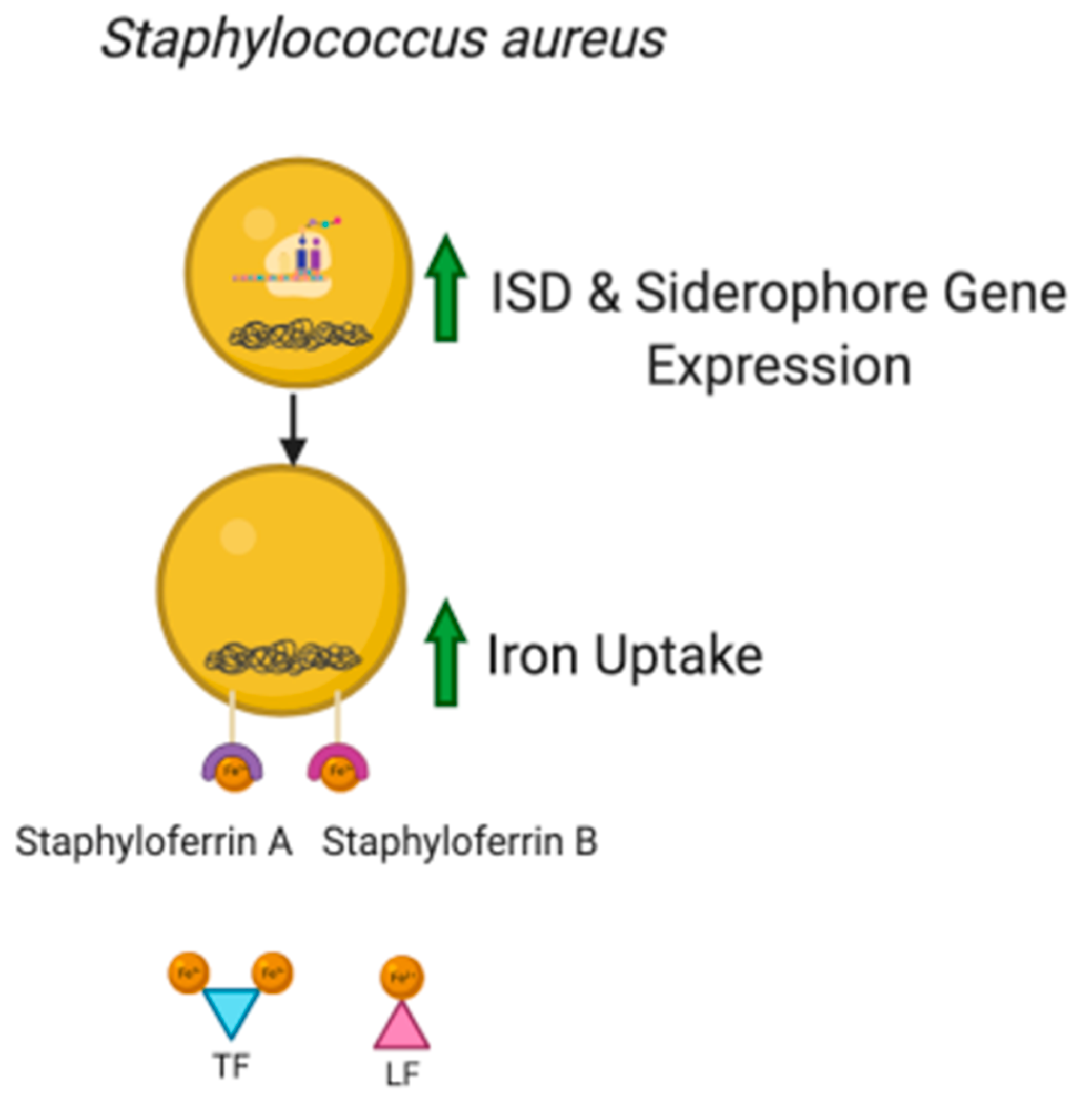 Molecules 26 00189 g004 Molecules 26 00189 g004