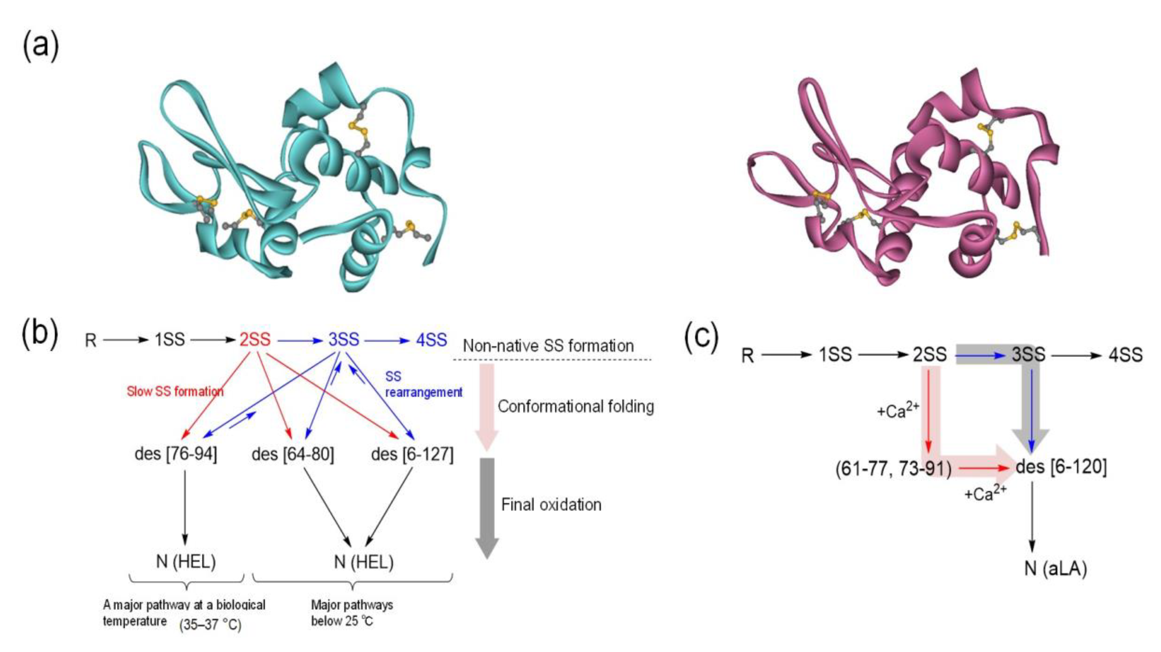Molecules 26 00195 g008