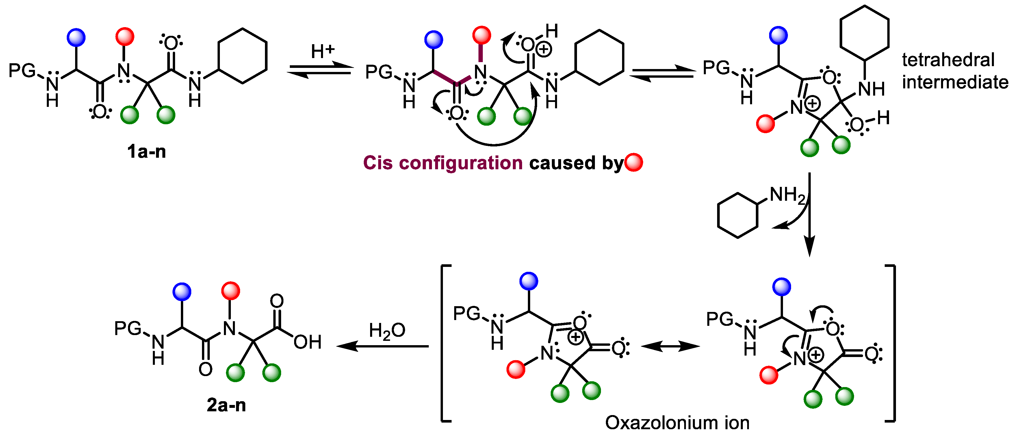 Molecules 26 00197 g003