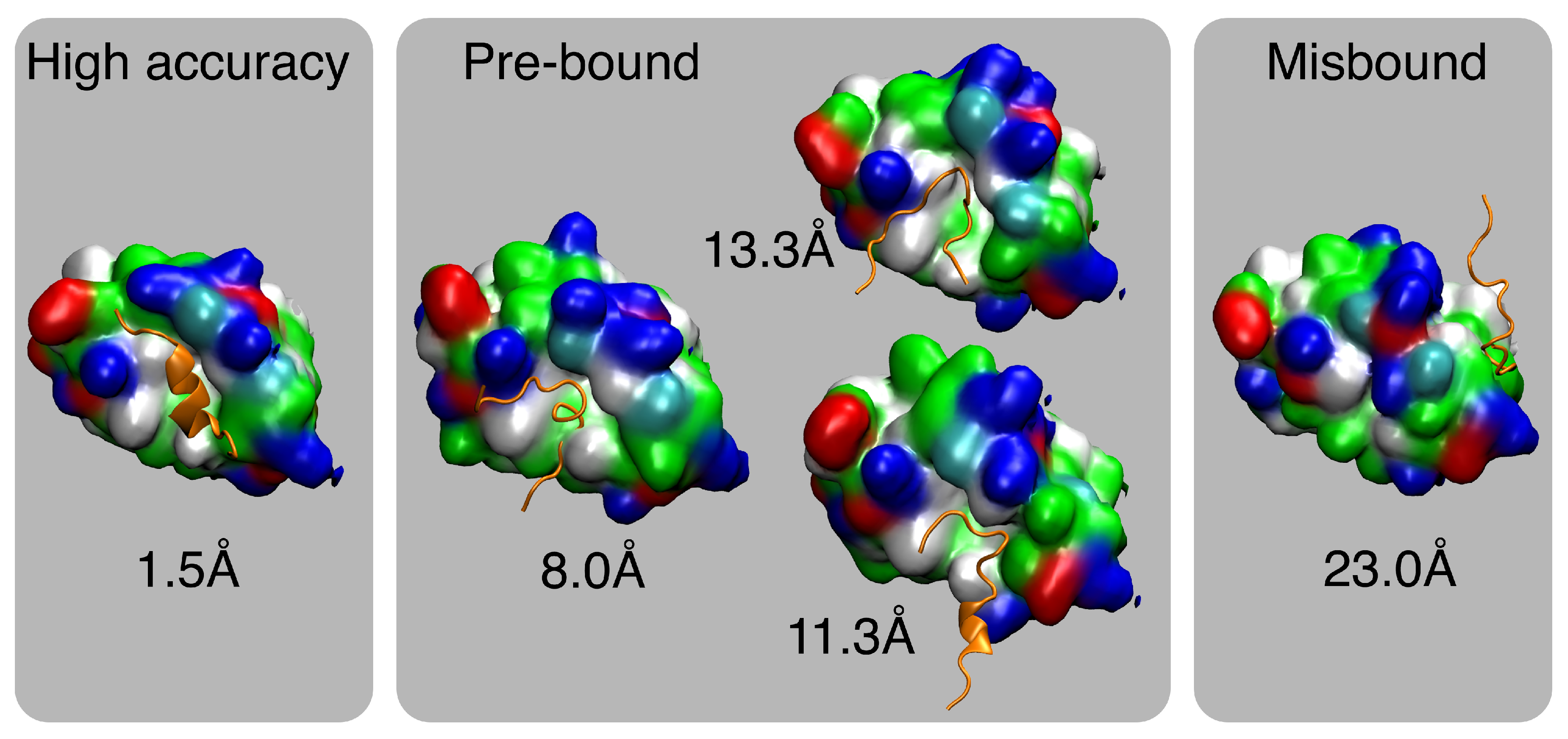 Molecules 26 00198 g0a5 Molecules 26 00198 g0a5