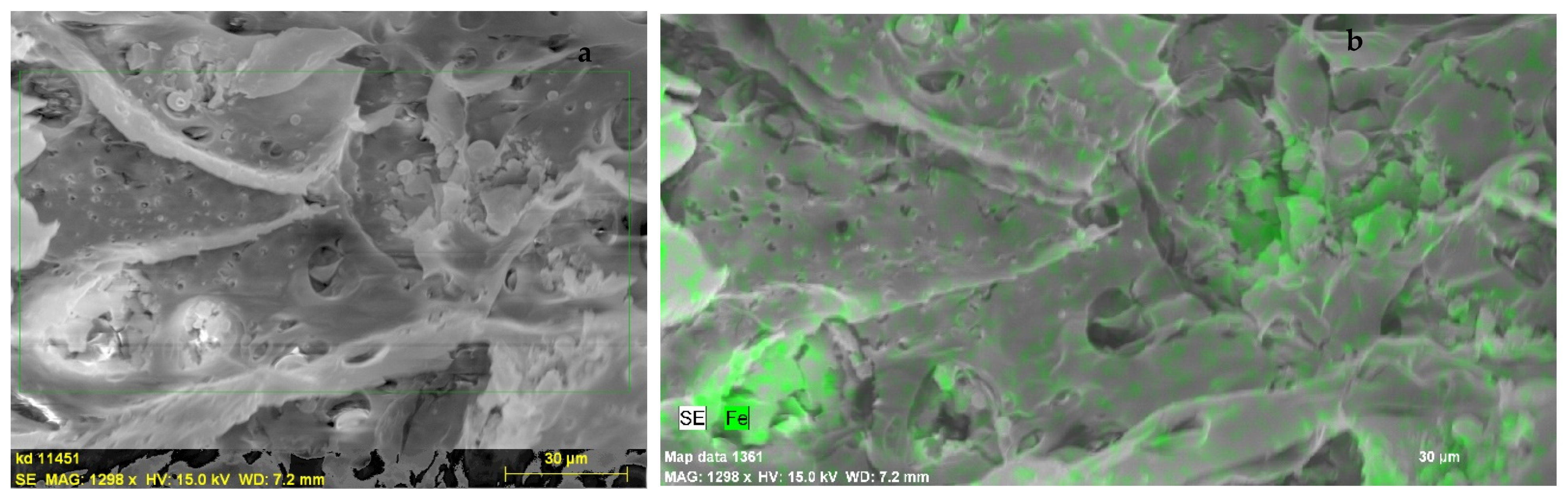 Molecules 26 00201 g001