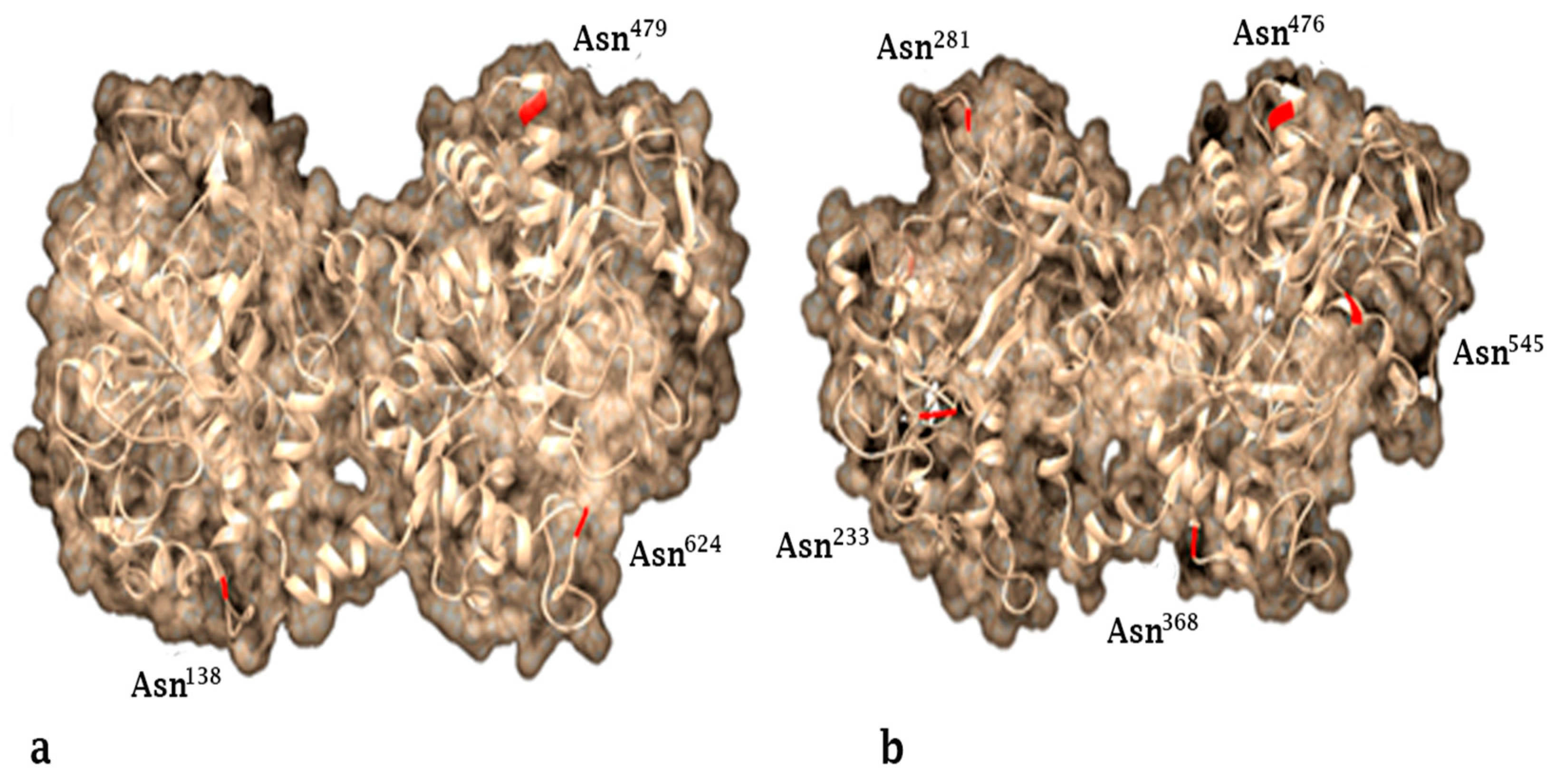 Molecules 26 00205 g001