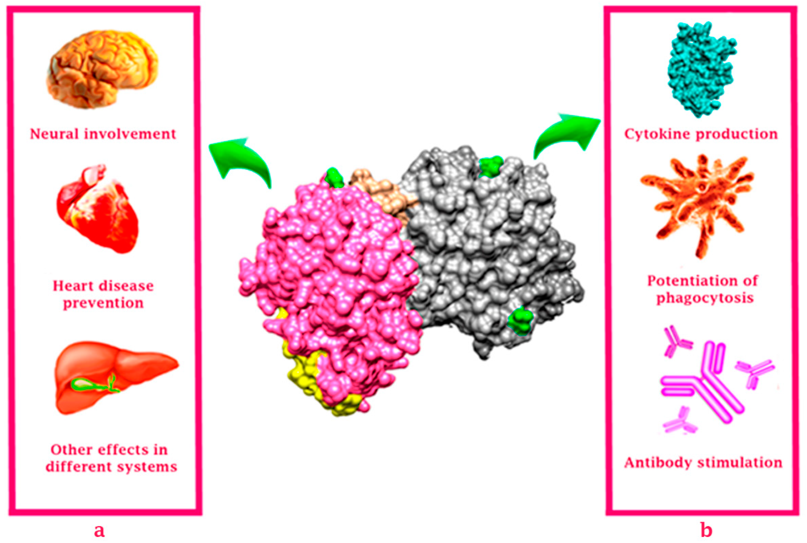 Molecules 26 00205 g002