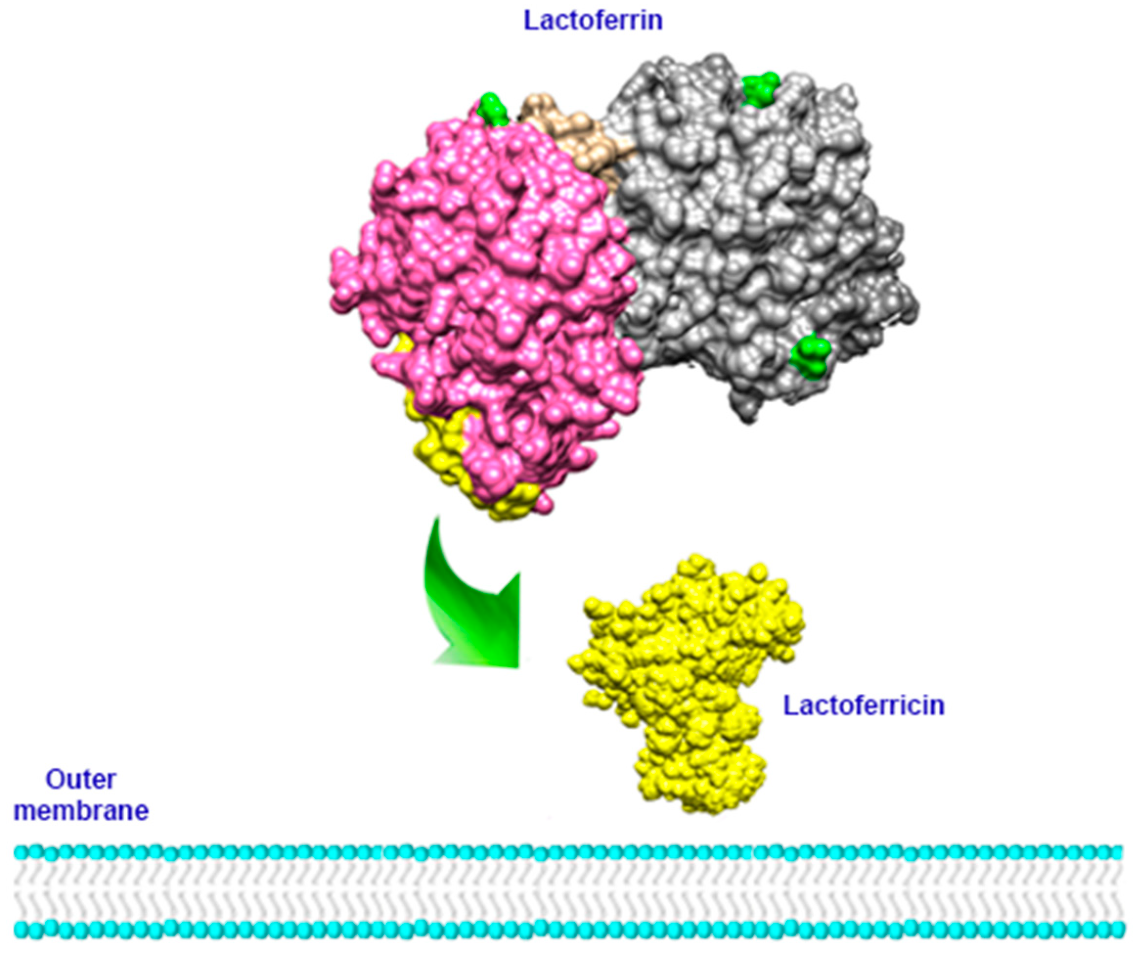 Molecules 26 00205 g003