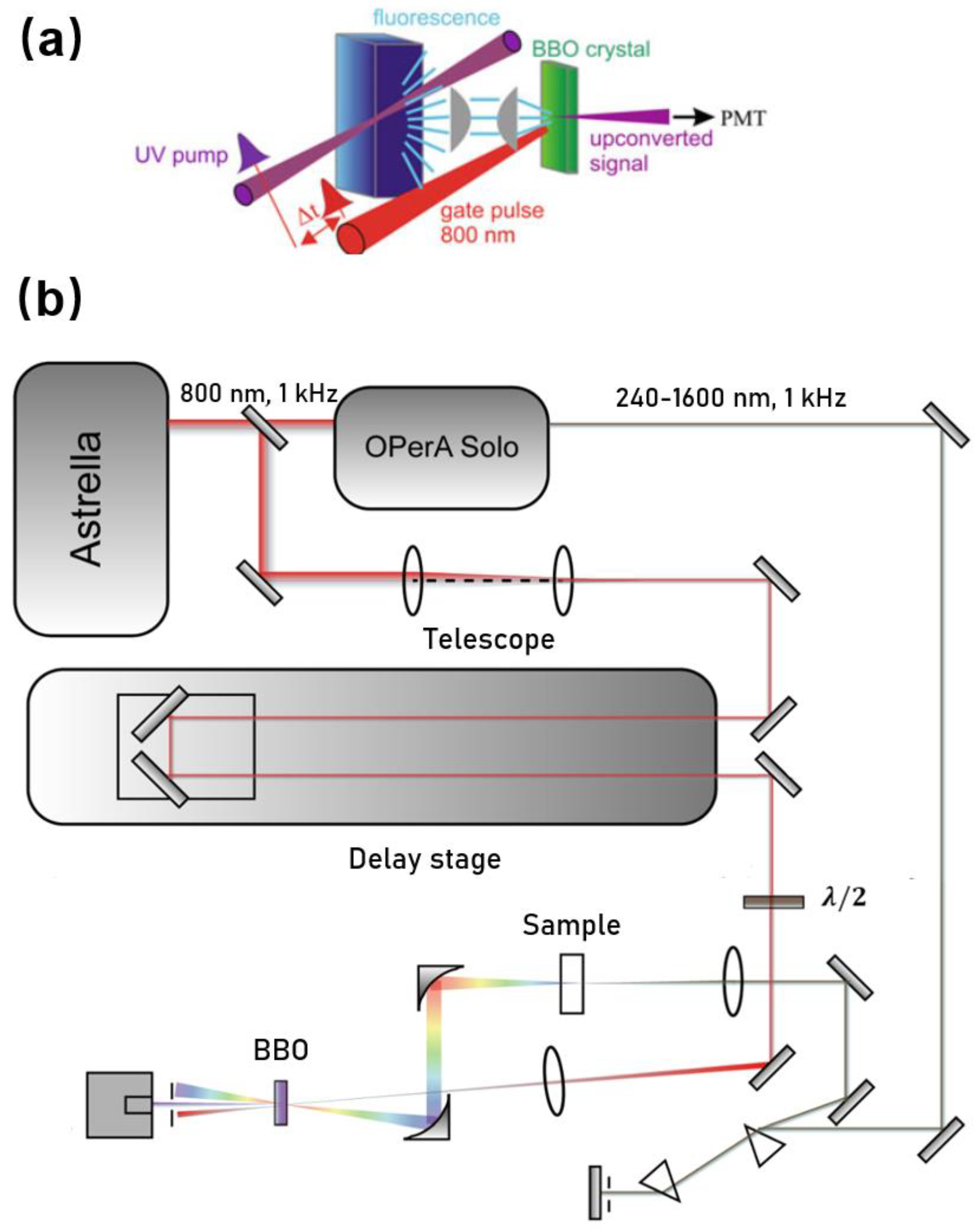 Molecules 26 00211 g001 Molecules 26 00211 g001