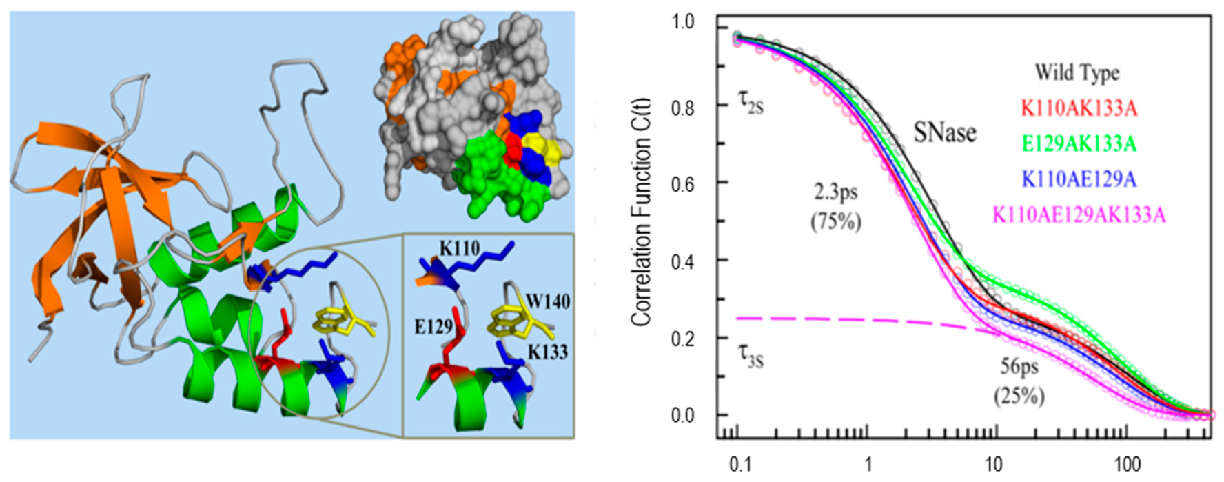Molecules 26 00211 g006 Molecules 26 00211 g006