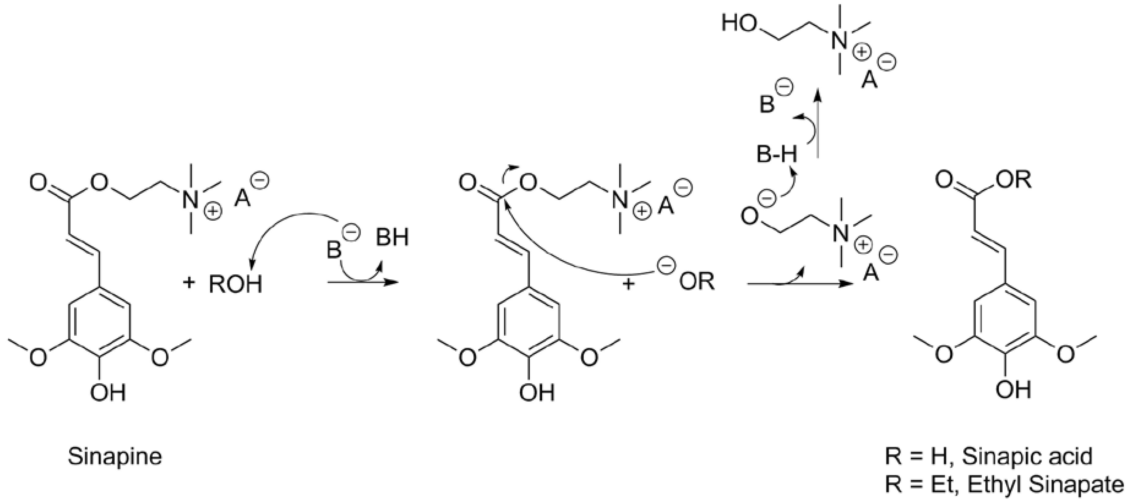 Molecules 26 00212 sch001