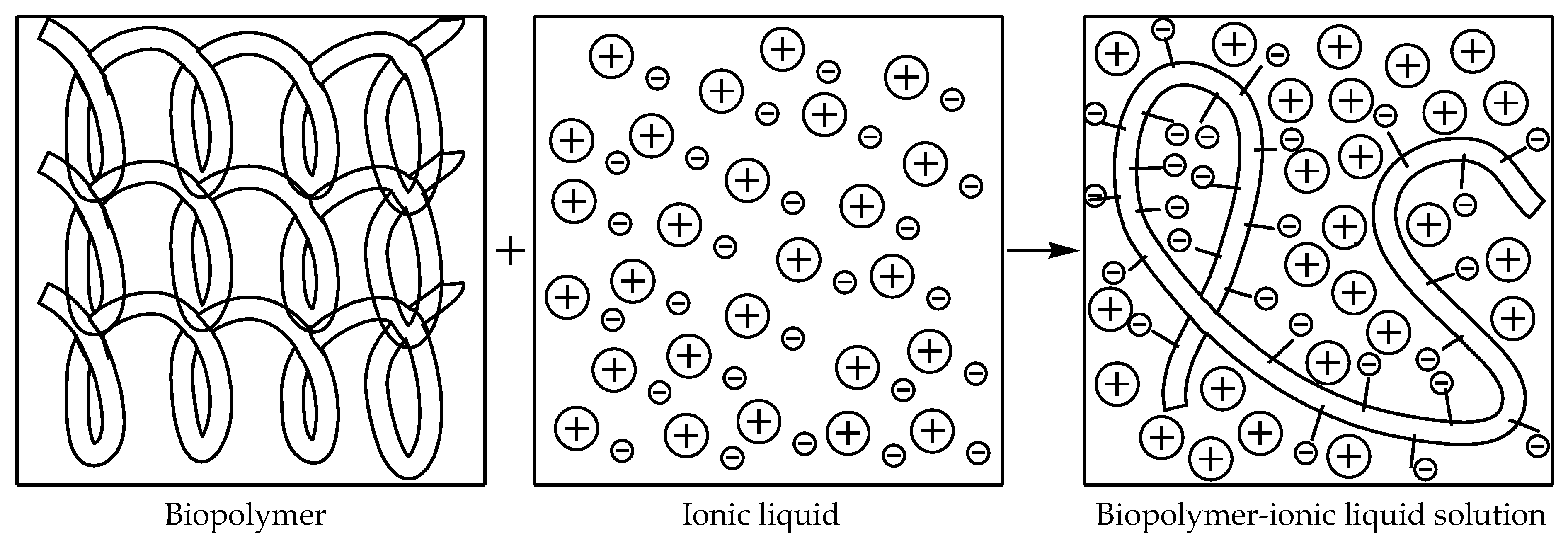 Molecules 26 00216 g004