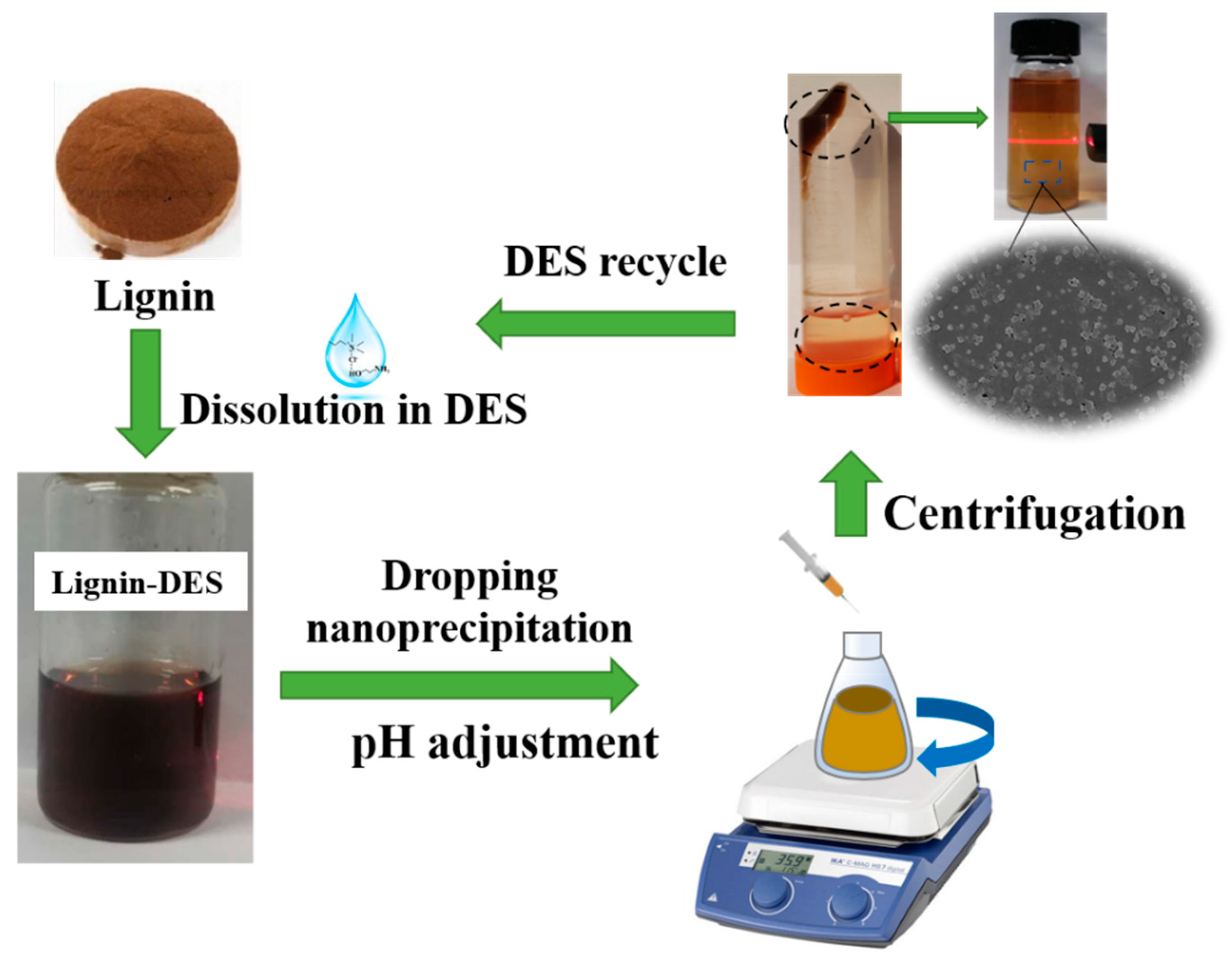 Molecules 26 00218 g001 Molecules 26 00218 g001